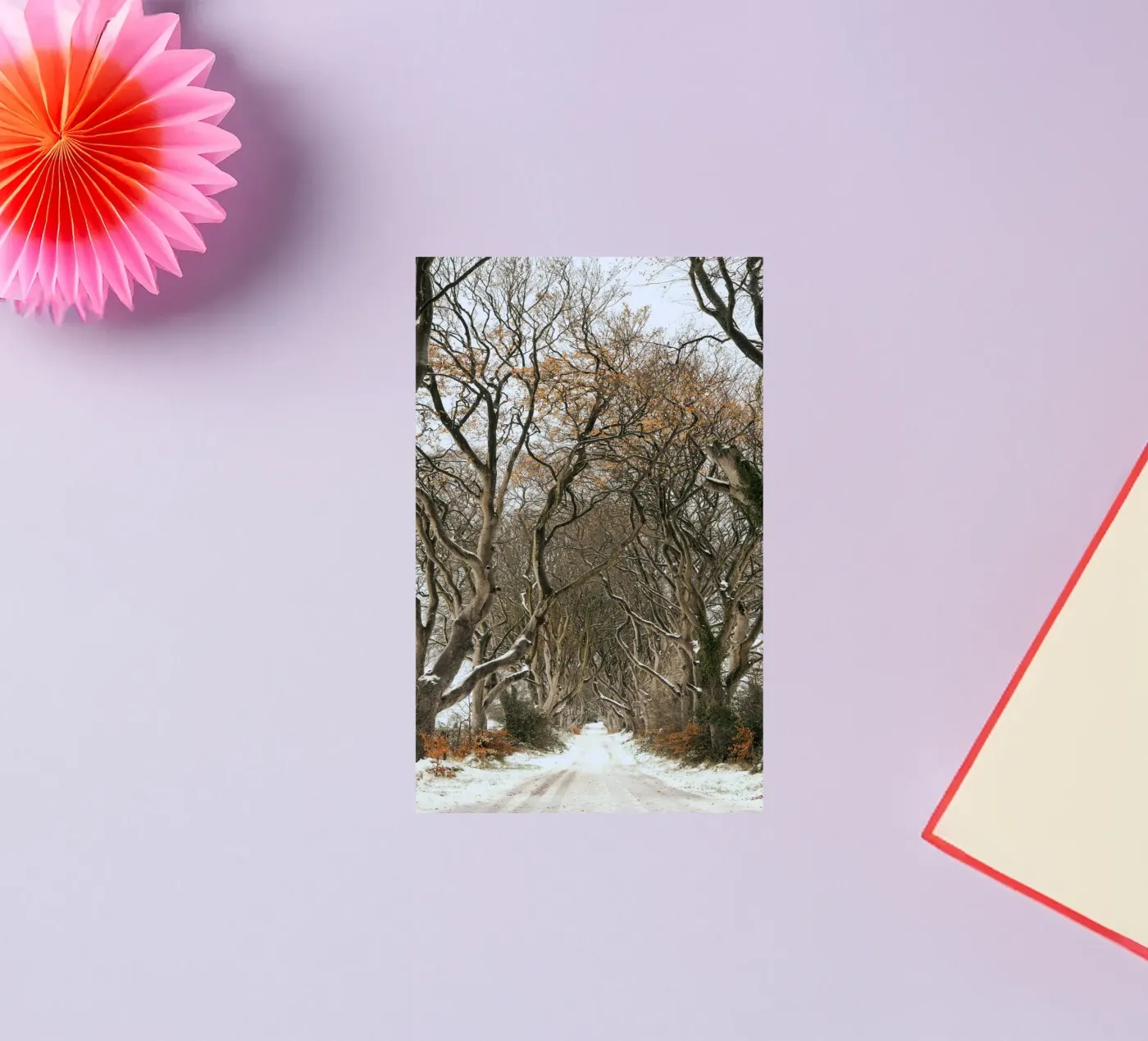 trees road sticker by Earthly Visions