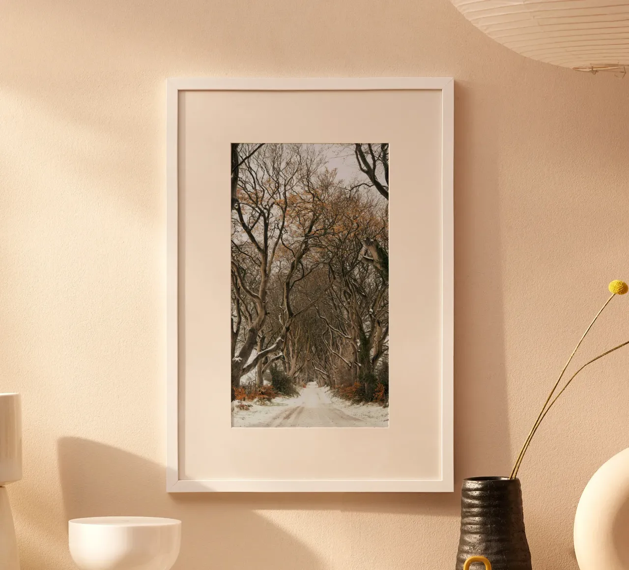 strada degli alberi carta hahnemühle da Earthly Visions