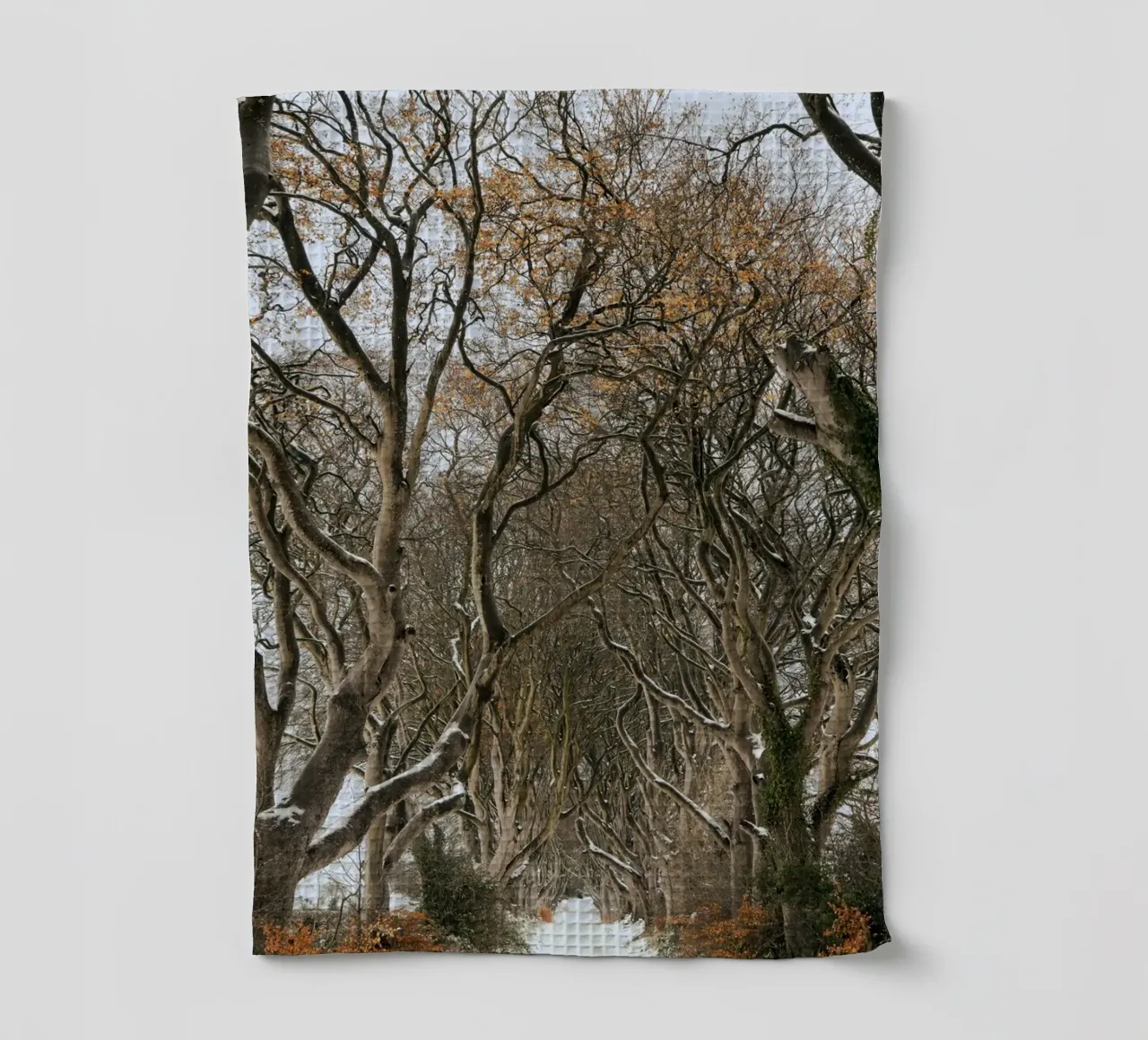 trees road tea towel by Earthly Visions