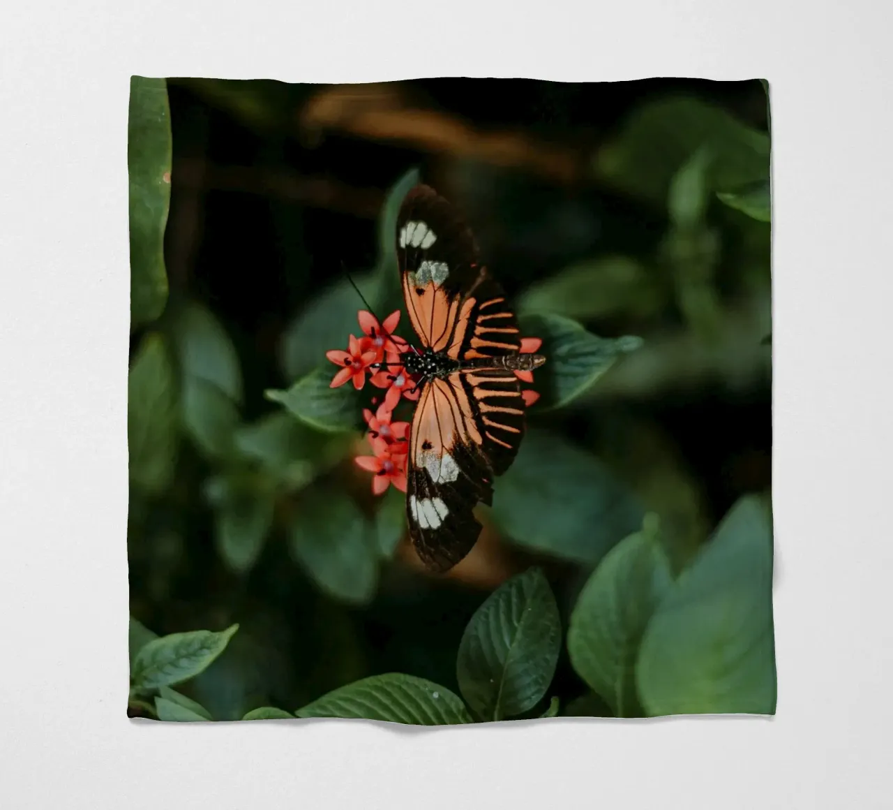 farfalla arancione coperta in pile da Earthly Visions