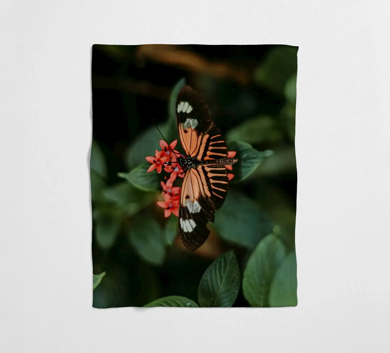 farfalla arancione coperta in pile da Earthly Visions