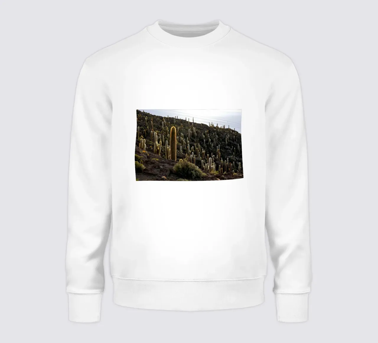 cactus del deserto felpa da Earthly Visions