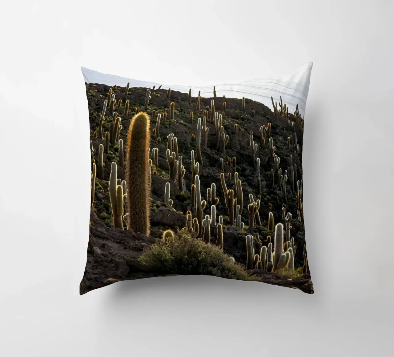 cactus desert decorative cushion by Earthly Visions