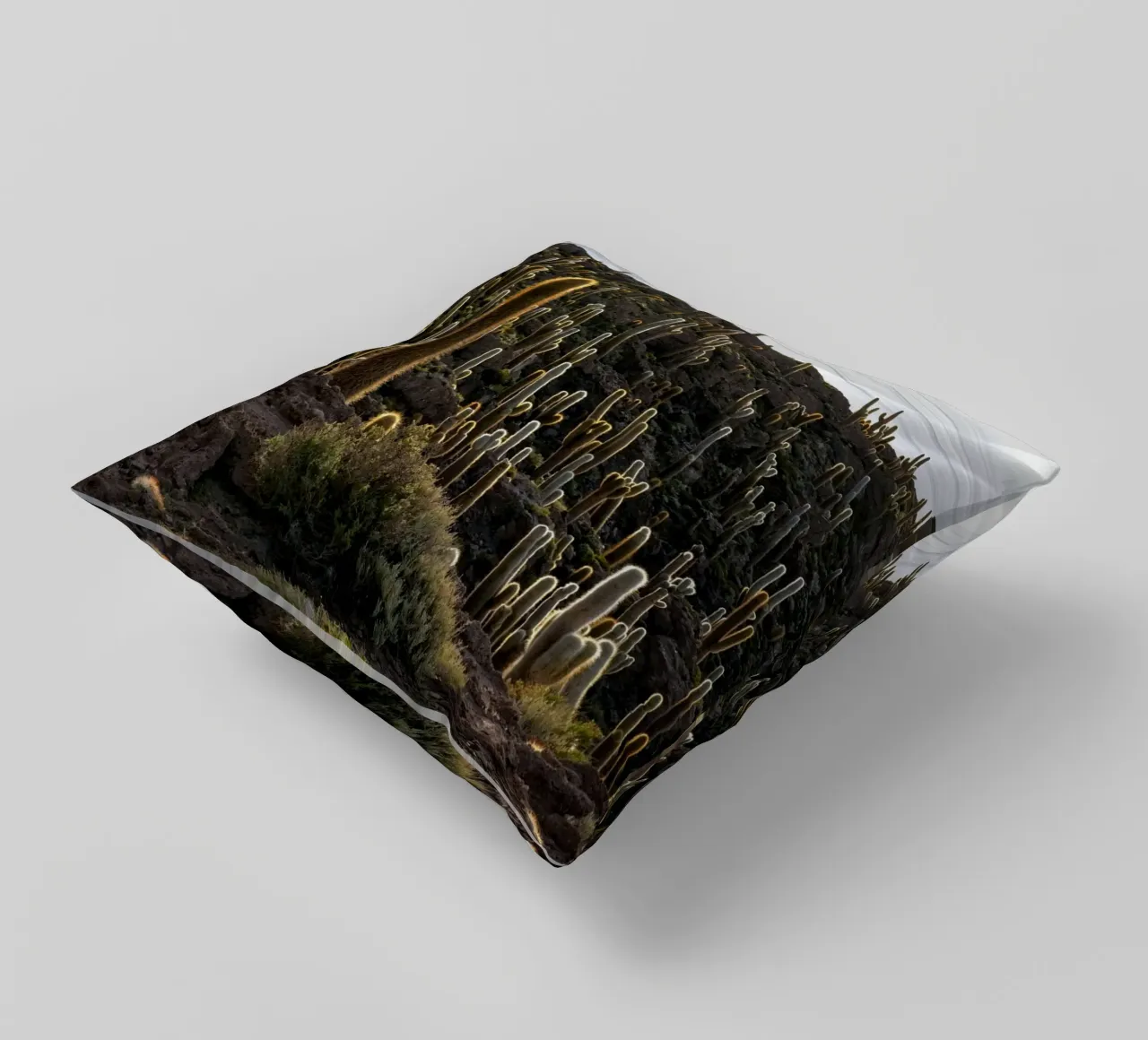 cactus desert decorative cushion by Earthly Visions