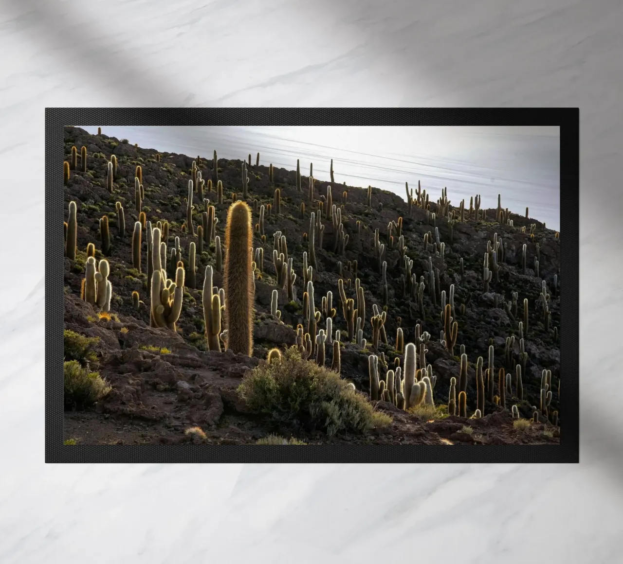 cactuswoestijn deurmat van Earthly Visions