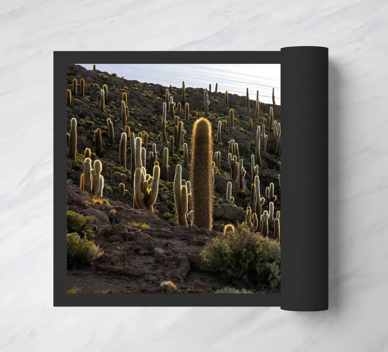 cactuswoestijn deurmat van Earthly Visions