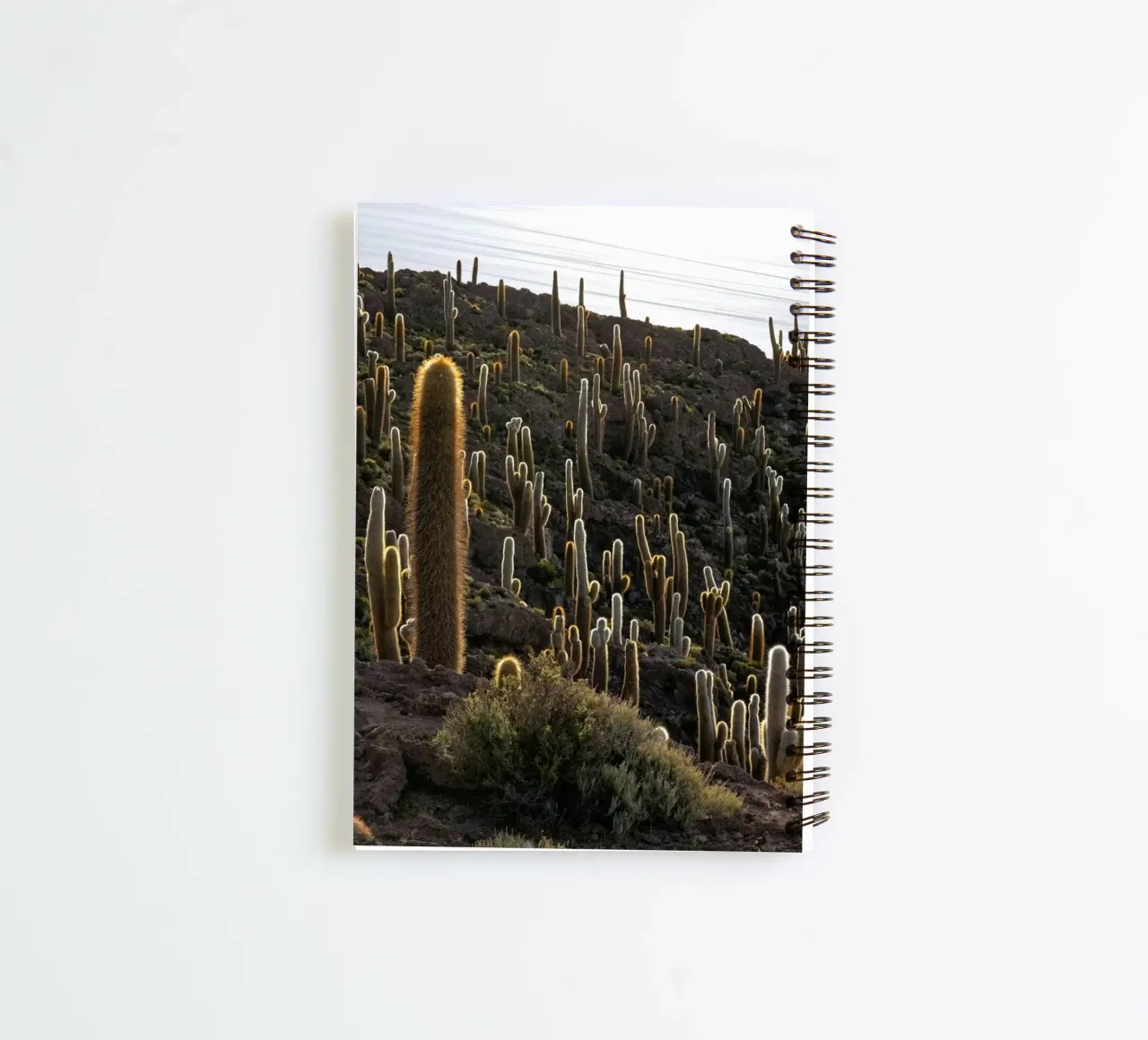 cactus desert spiral notebook by Earthly Visions