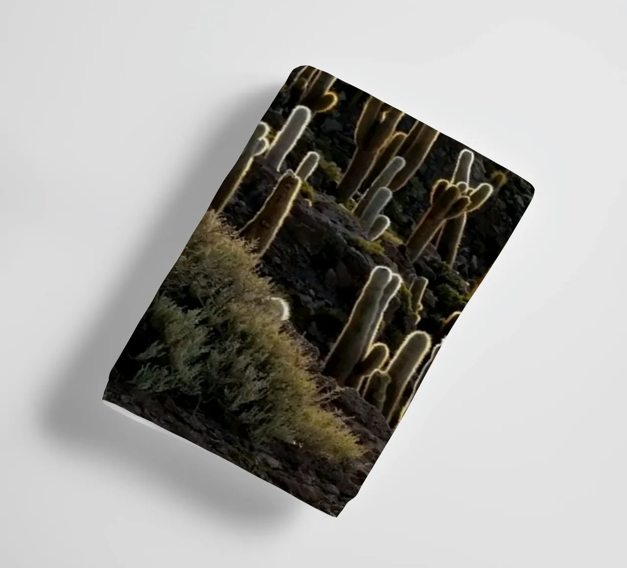 cactus del deserto asciugamano da bagno da Earthly Visions