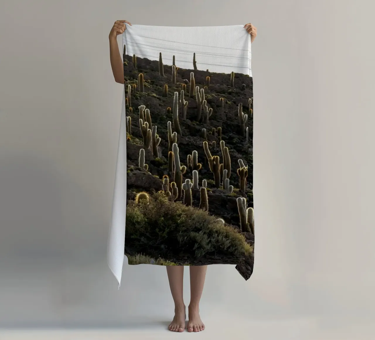 cactus del deserto telo mare da Earthly Visions
