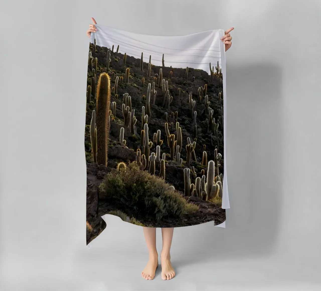 cactus del deserto telo mare da Earthly Visions