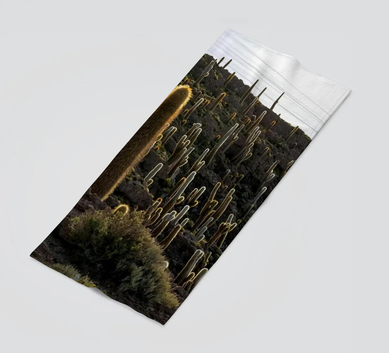 cactus del deserto telo mare da Earthly Visions
