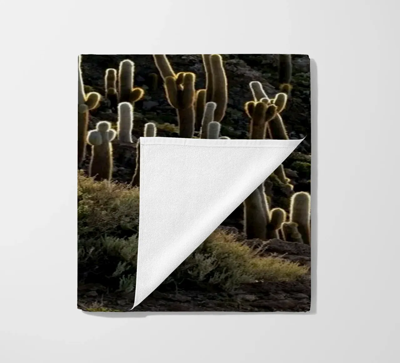cactus del deserto telo mare da Earthly Visions