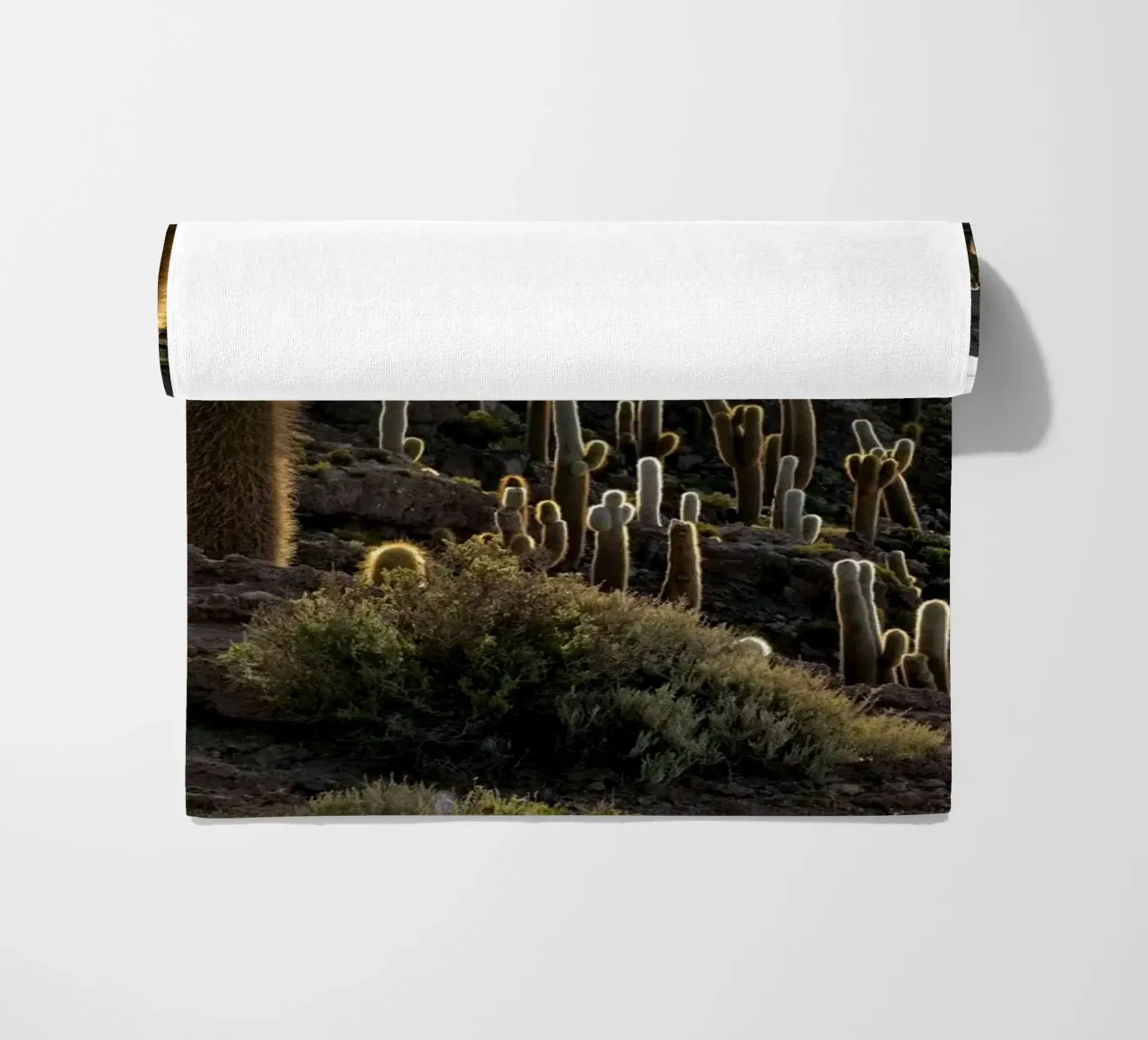 cactus del deserto telo mare da Earthly Visions