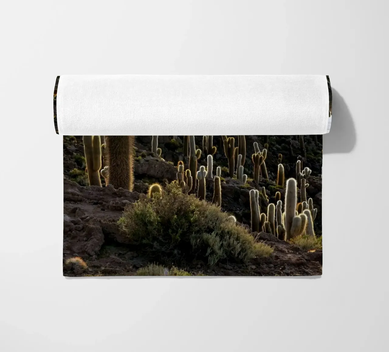 cactus del deserto telo mare da Earthly Visions