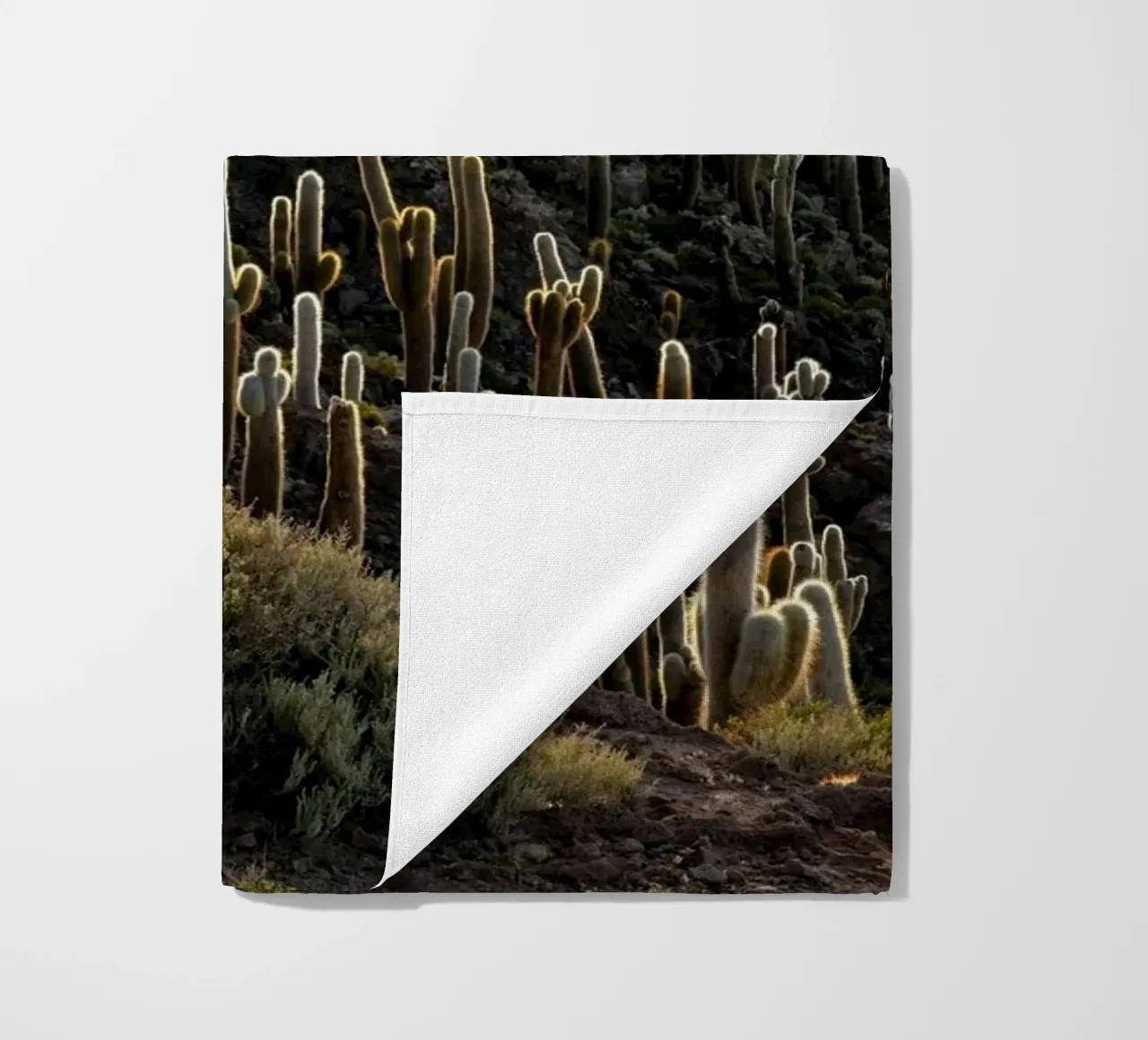 cactus del deserto telo mare da Earthly Visions
