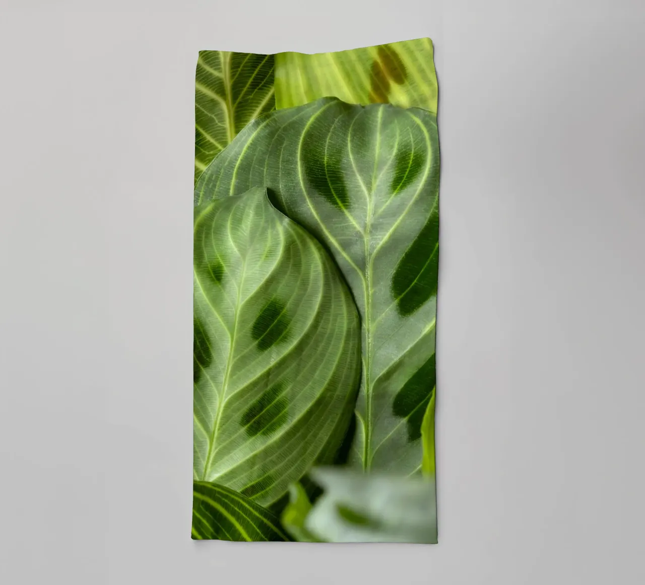 leaves greenery towel by Earthly Visions