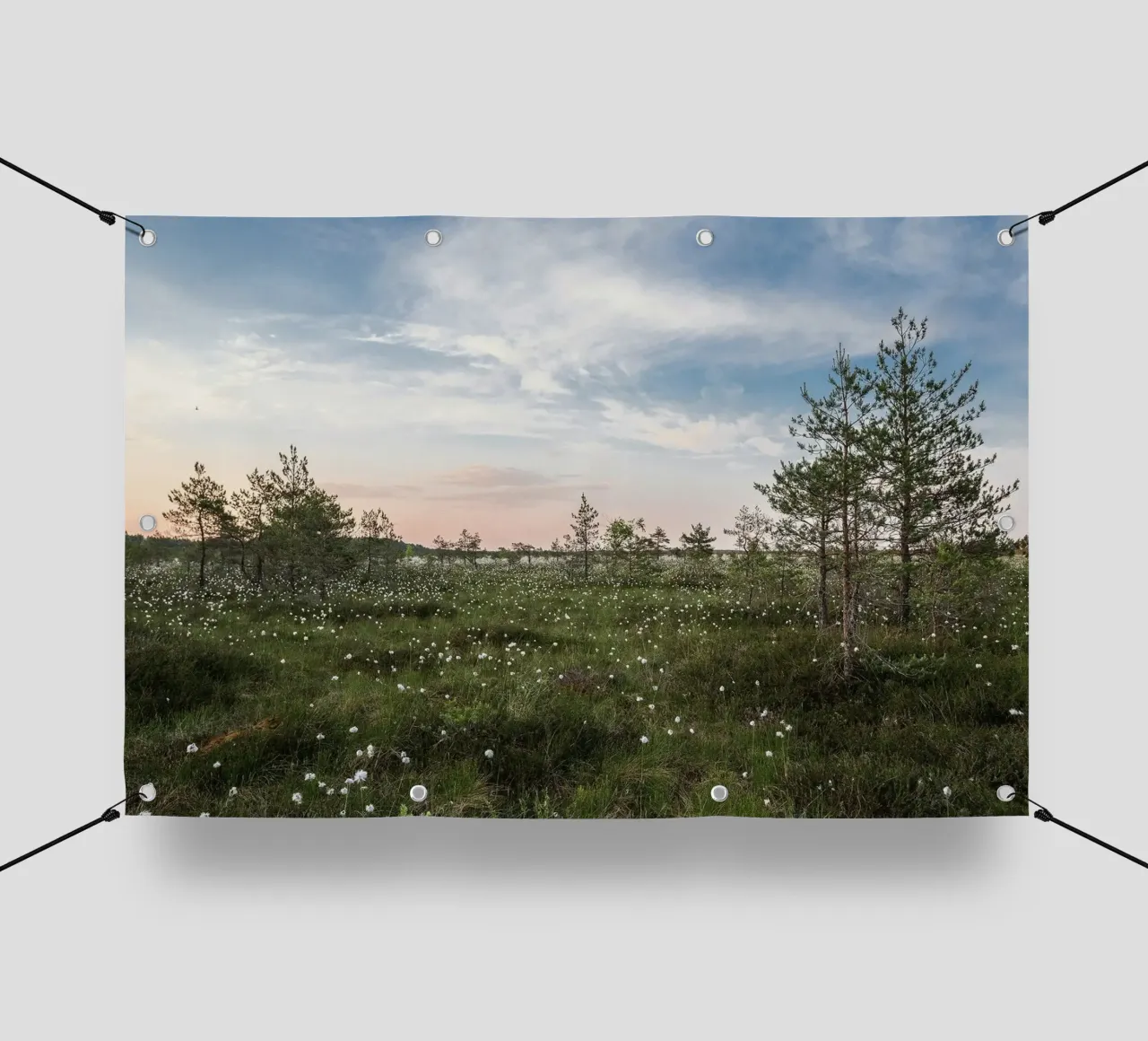 cotton grass marsh telo in pvc da Horsire