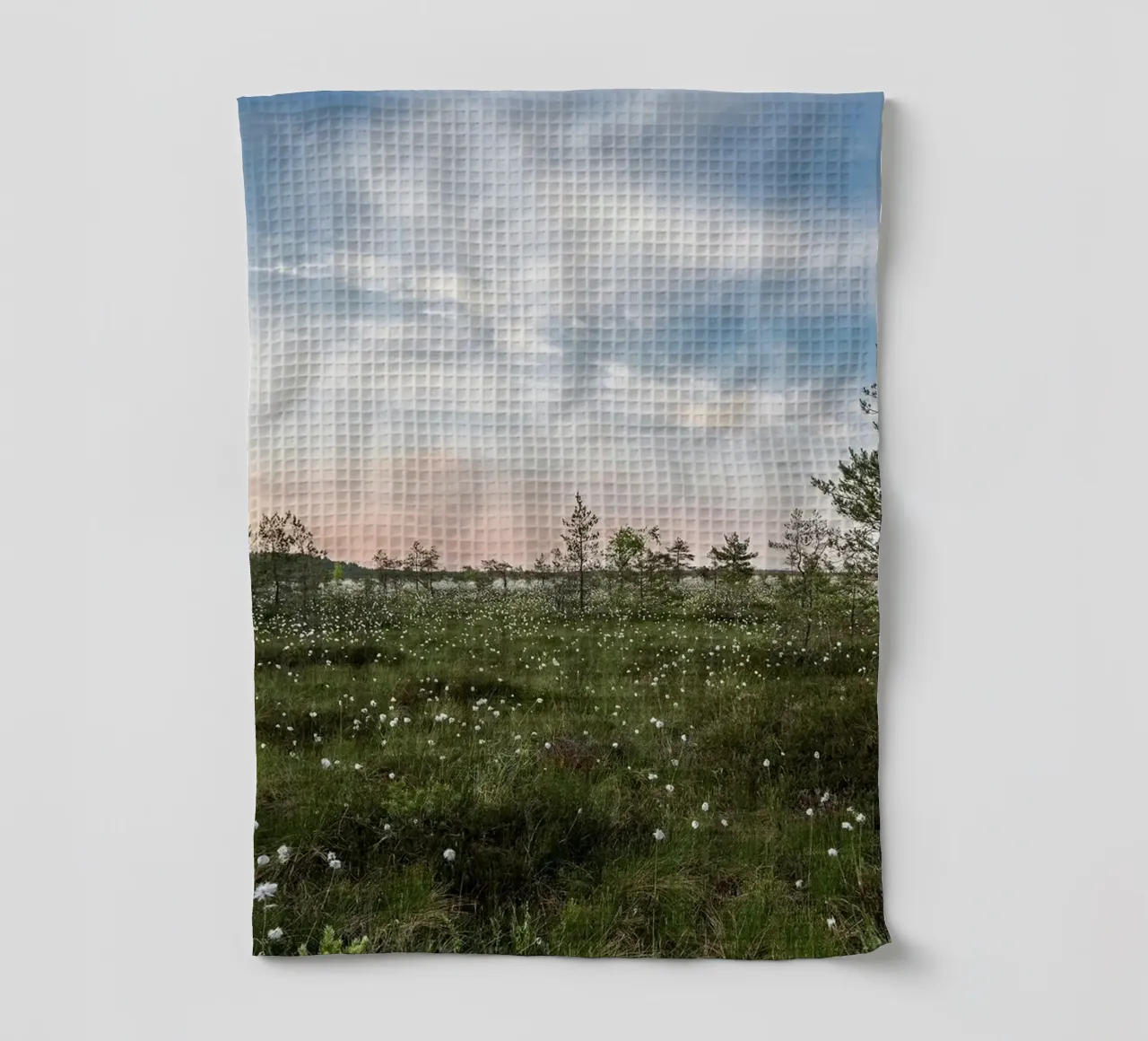 cotton grass marsh canovaccio da cucina da Horsire
