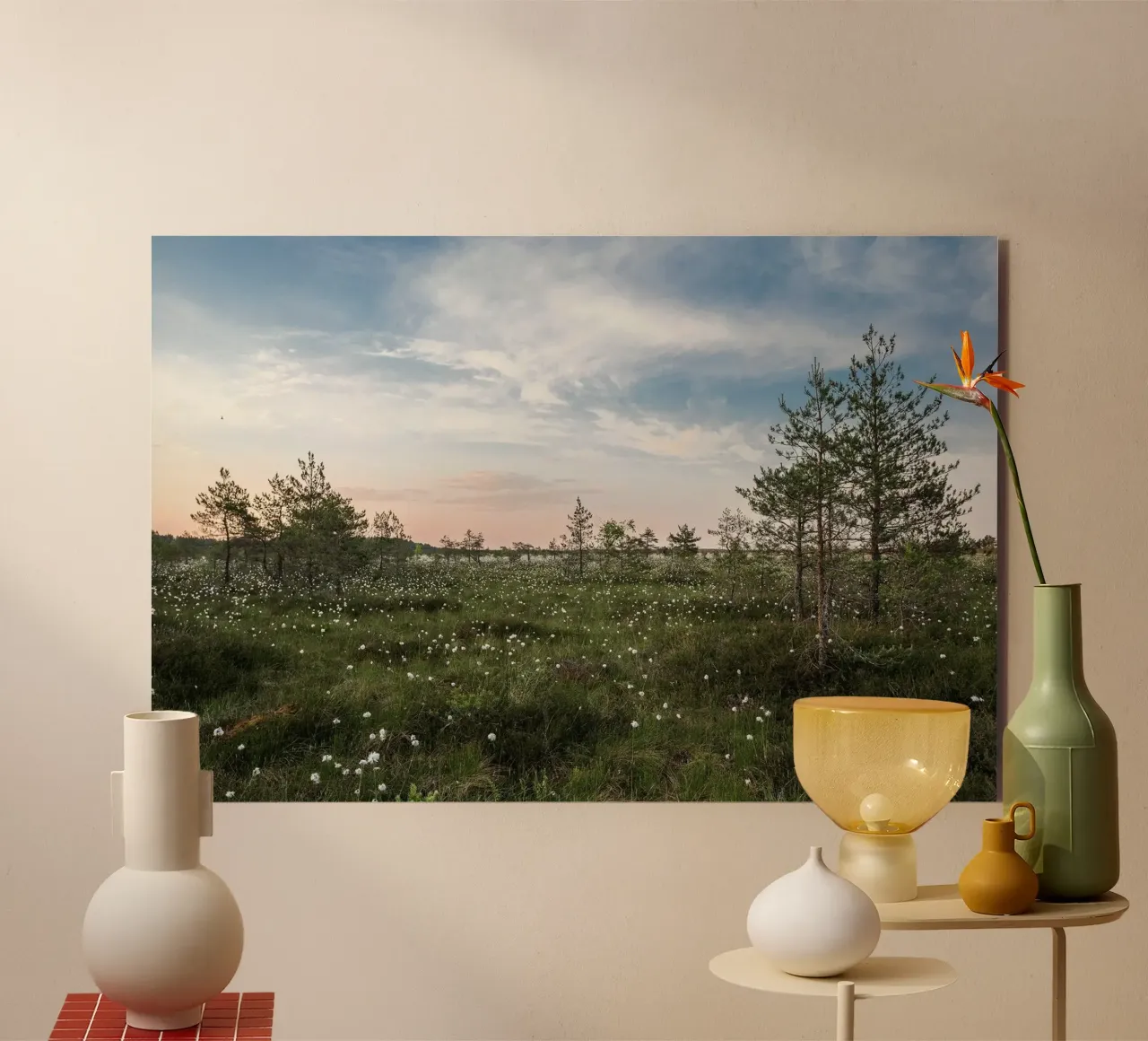 cotton grass marsh alluminio dibond da Horsire