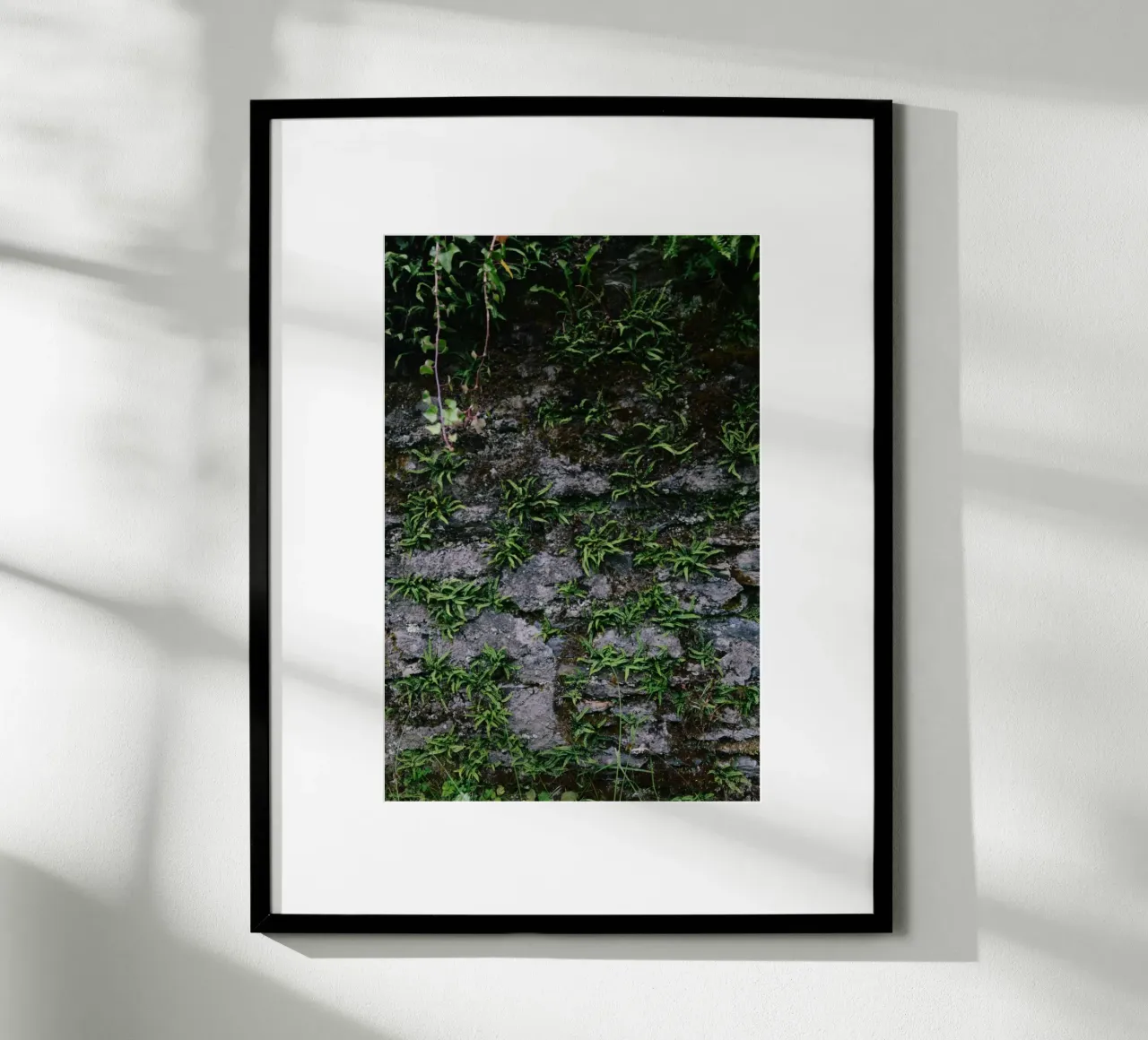Farne und Moos auf Steinmauer poster con telaio in plastica da The Wild Creative Studio