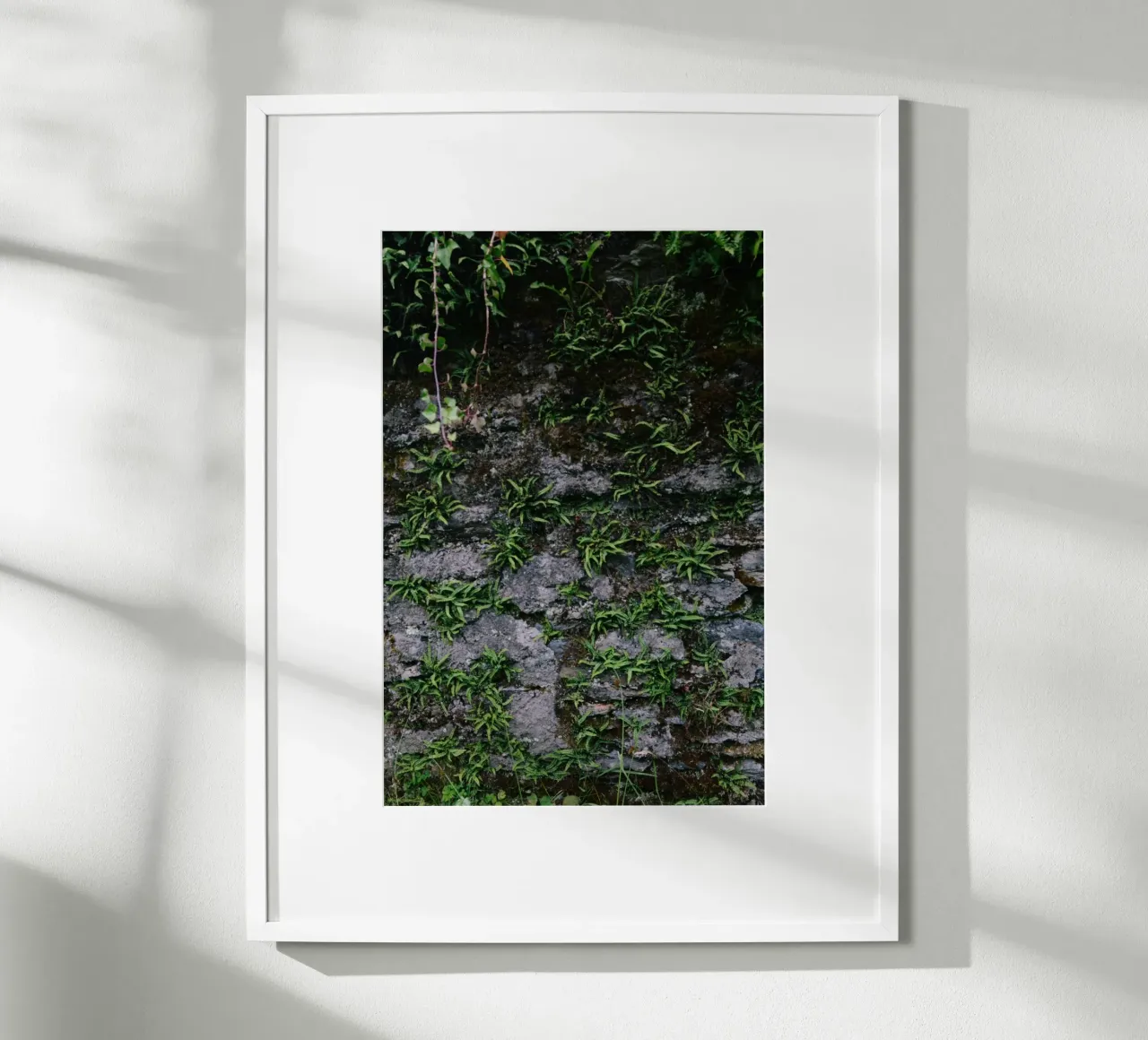Farne und Moos auf Steinmauer poster con telaio in plastica da The Wild Creative Studio