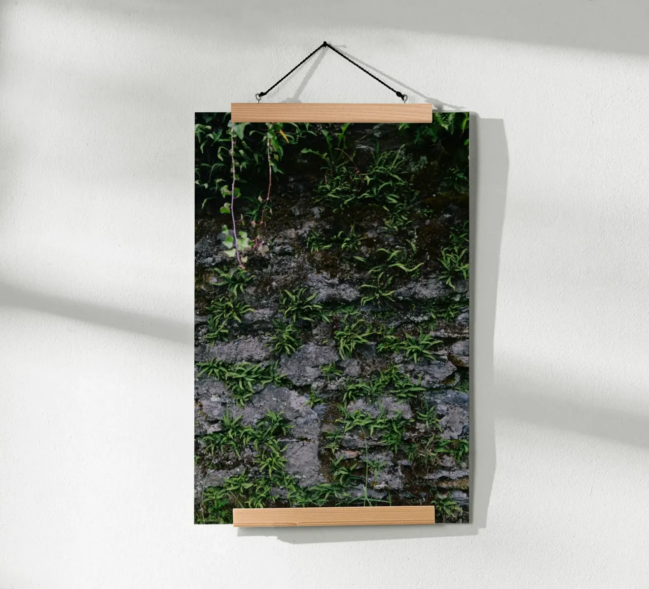 Farne und Moos auf Steinmauer poster con telaio in plastica da The Wild Creative Studio