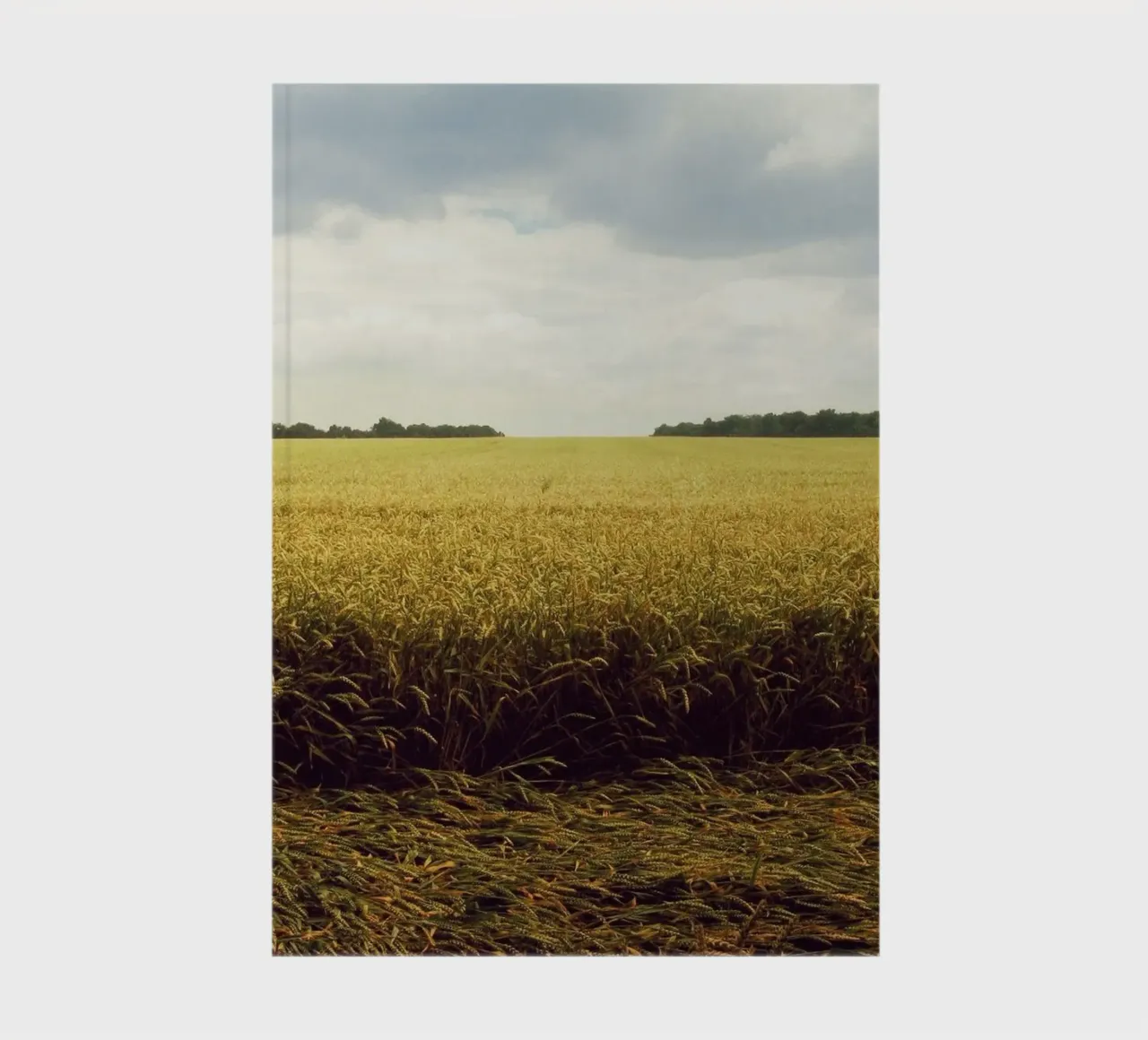 cereal grains landscape notebook by Horsire