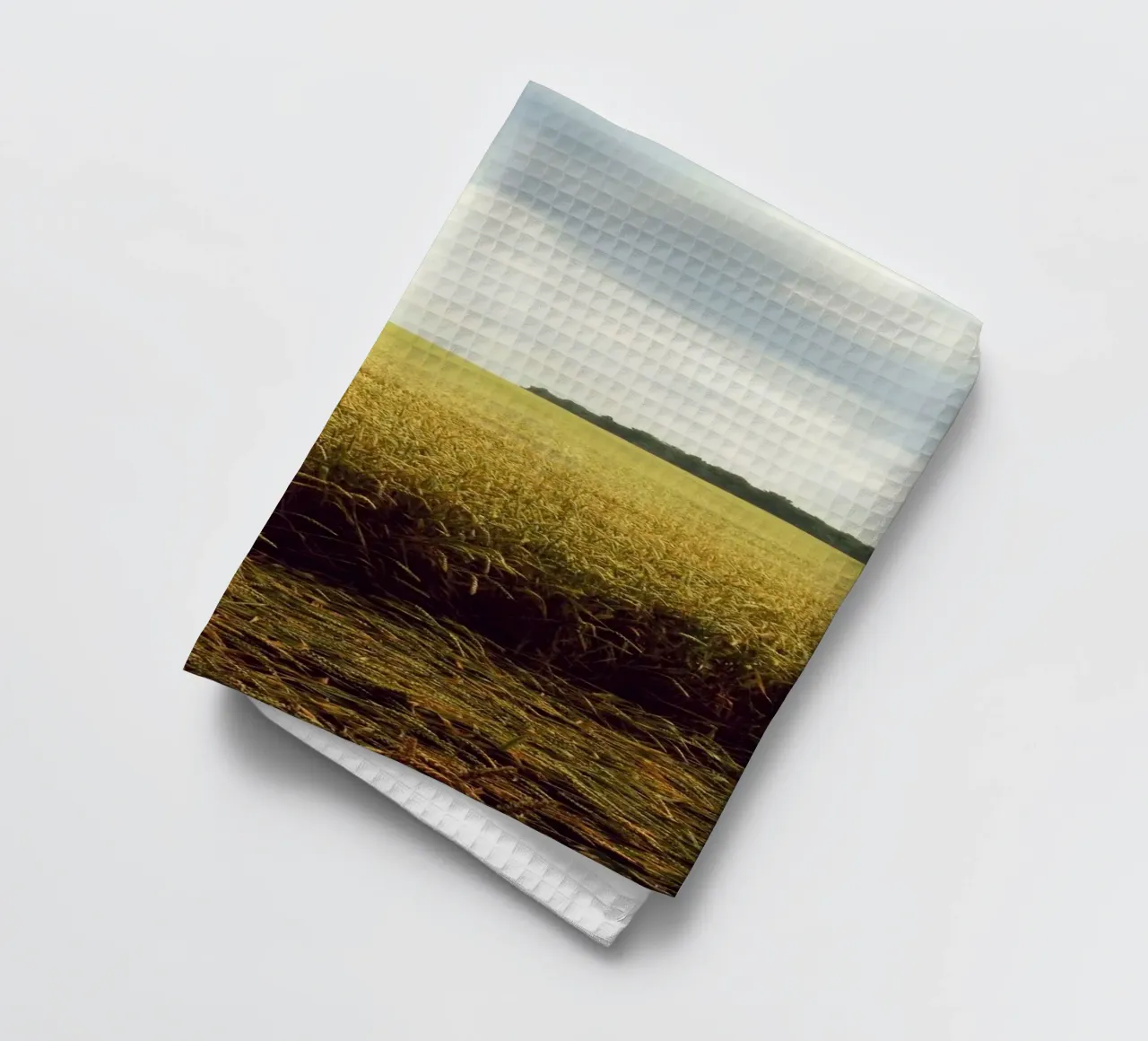 cereal grains landscape canovaccio da cucina da Horsire