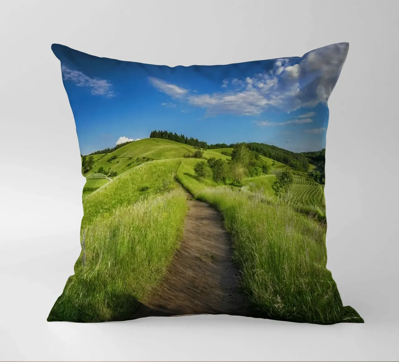 scenic view daytime cuscino da cofa home