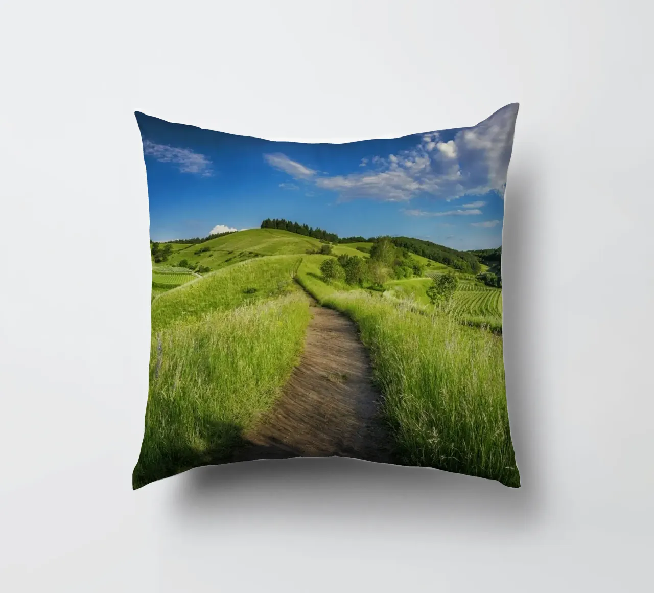 scenic view daytime cuscino da cofa home