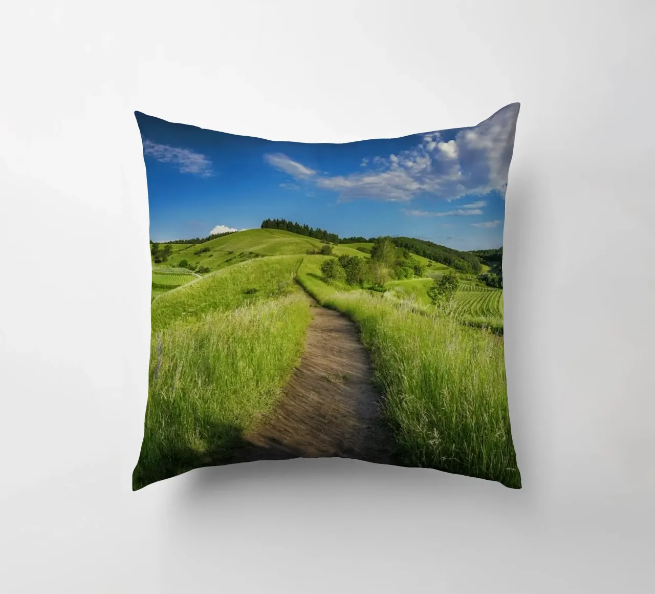 scenic view daytime cuscino da cofa home