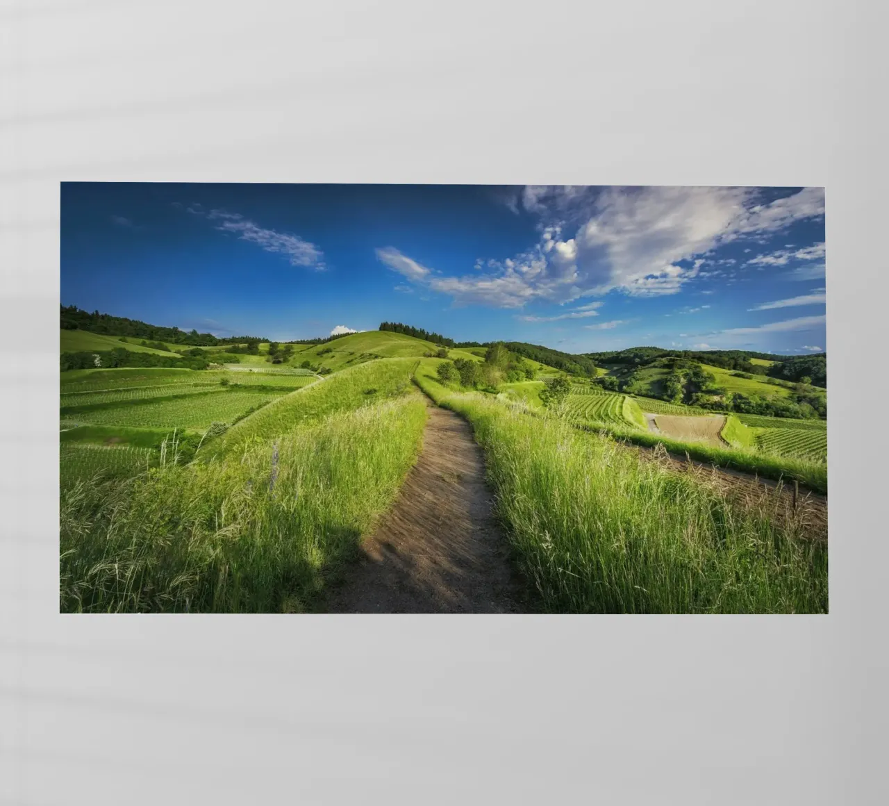 scenic view daytime pellicola backlit da cofa home