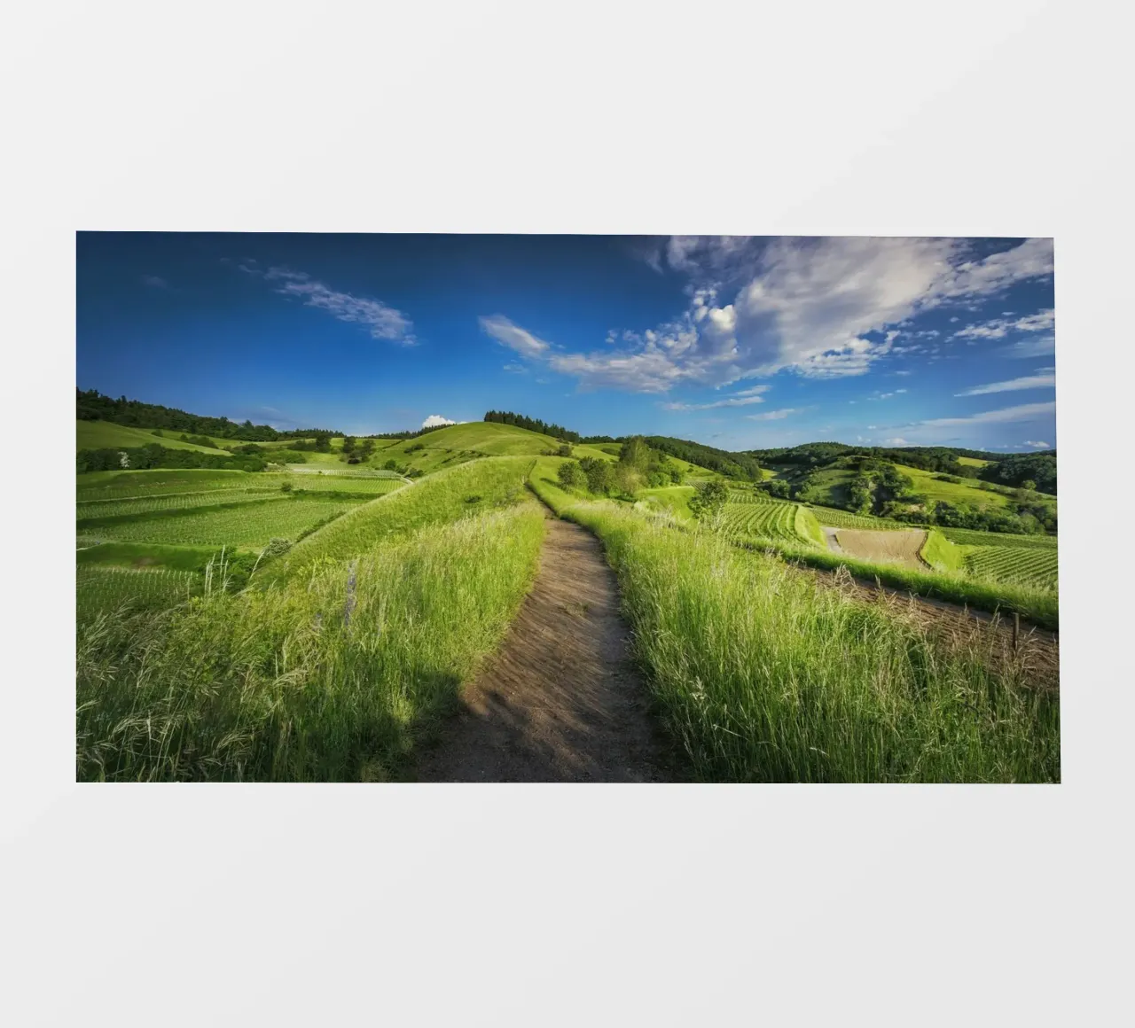 scenic view daytime pellicola backlit da cofa home