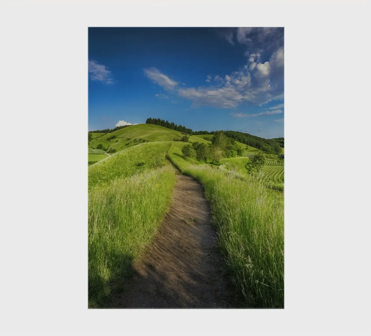 scenic view daytime notebook by cofa home