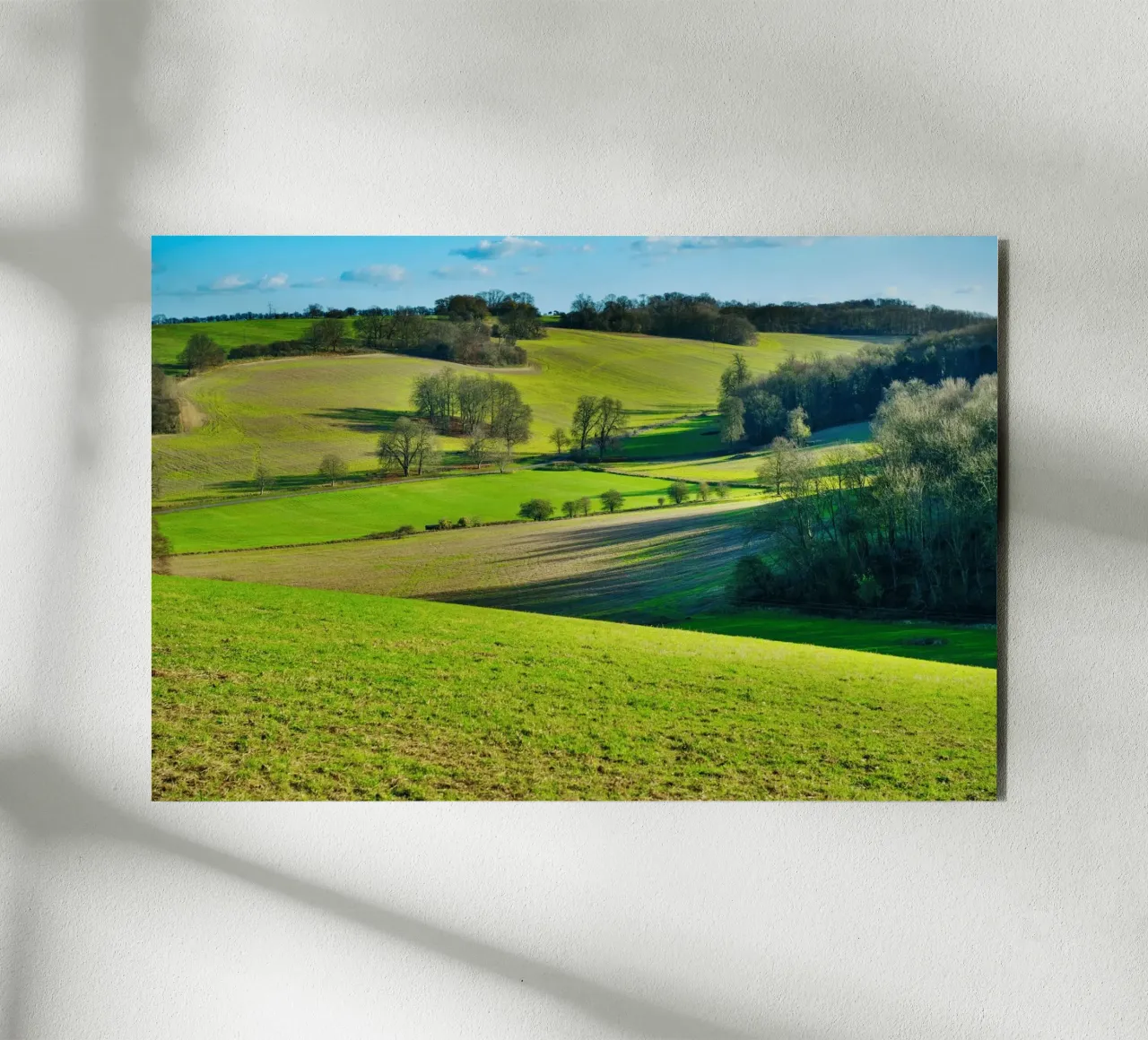 agriculture open alluminio dibond da Horsire