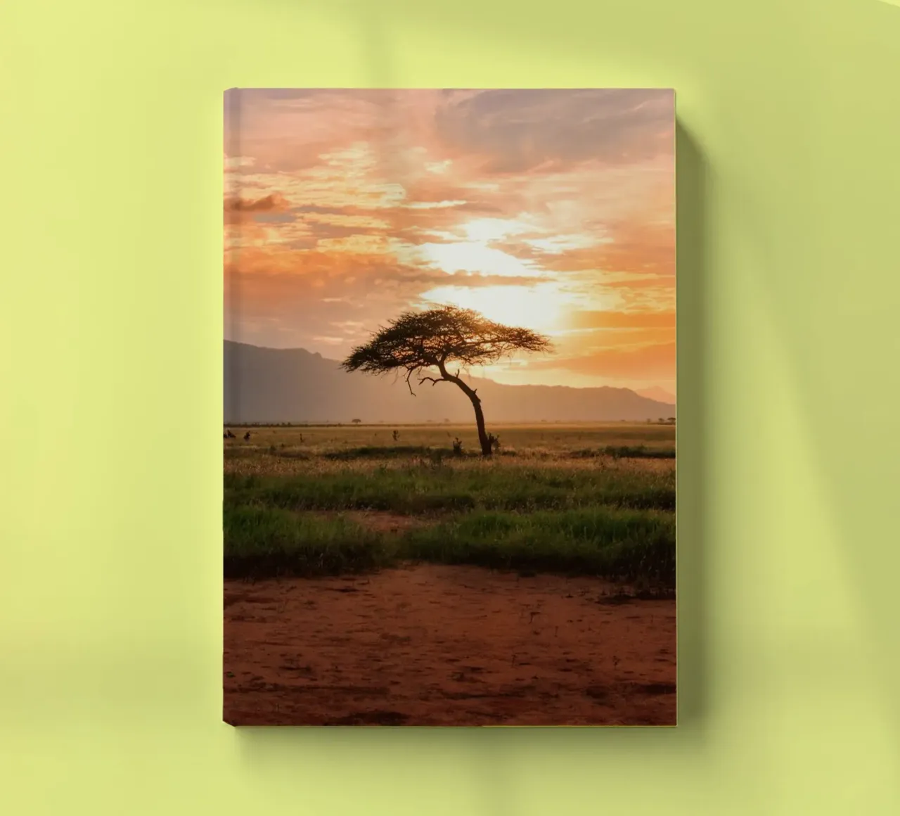solitary tree diario da Horsire