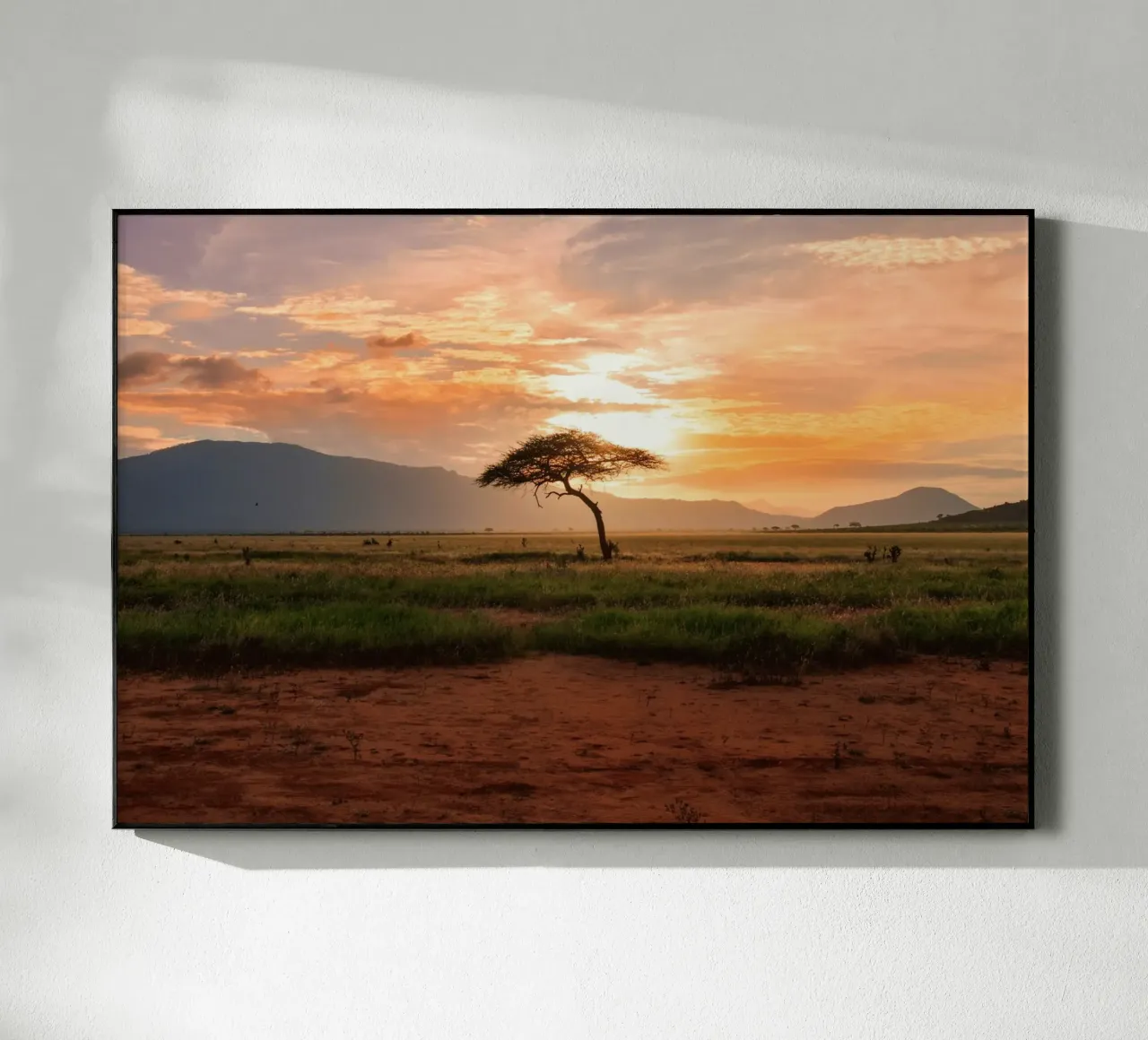 solitary tree plexiglass da Horsire