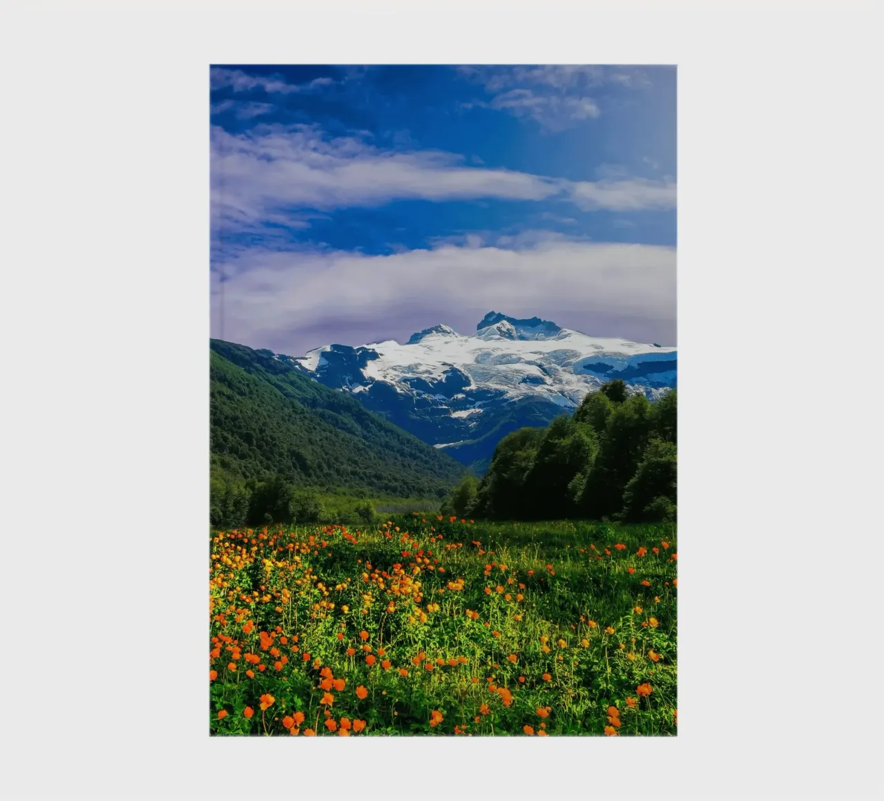 vibrant wilderness notebook by cofa home