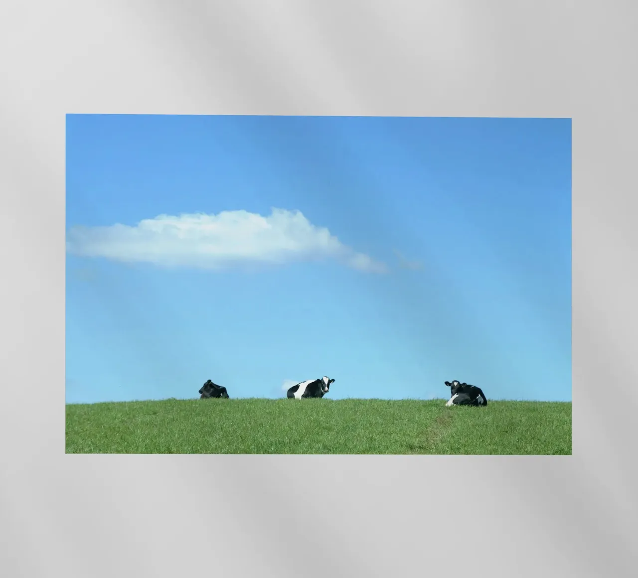 animals hillside pellicola backlit da cofa home