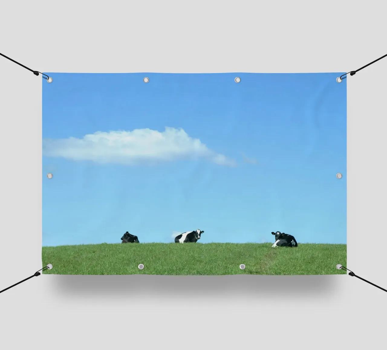 animals hillside telo in pvc da cofa home