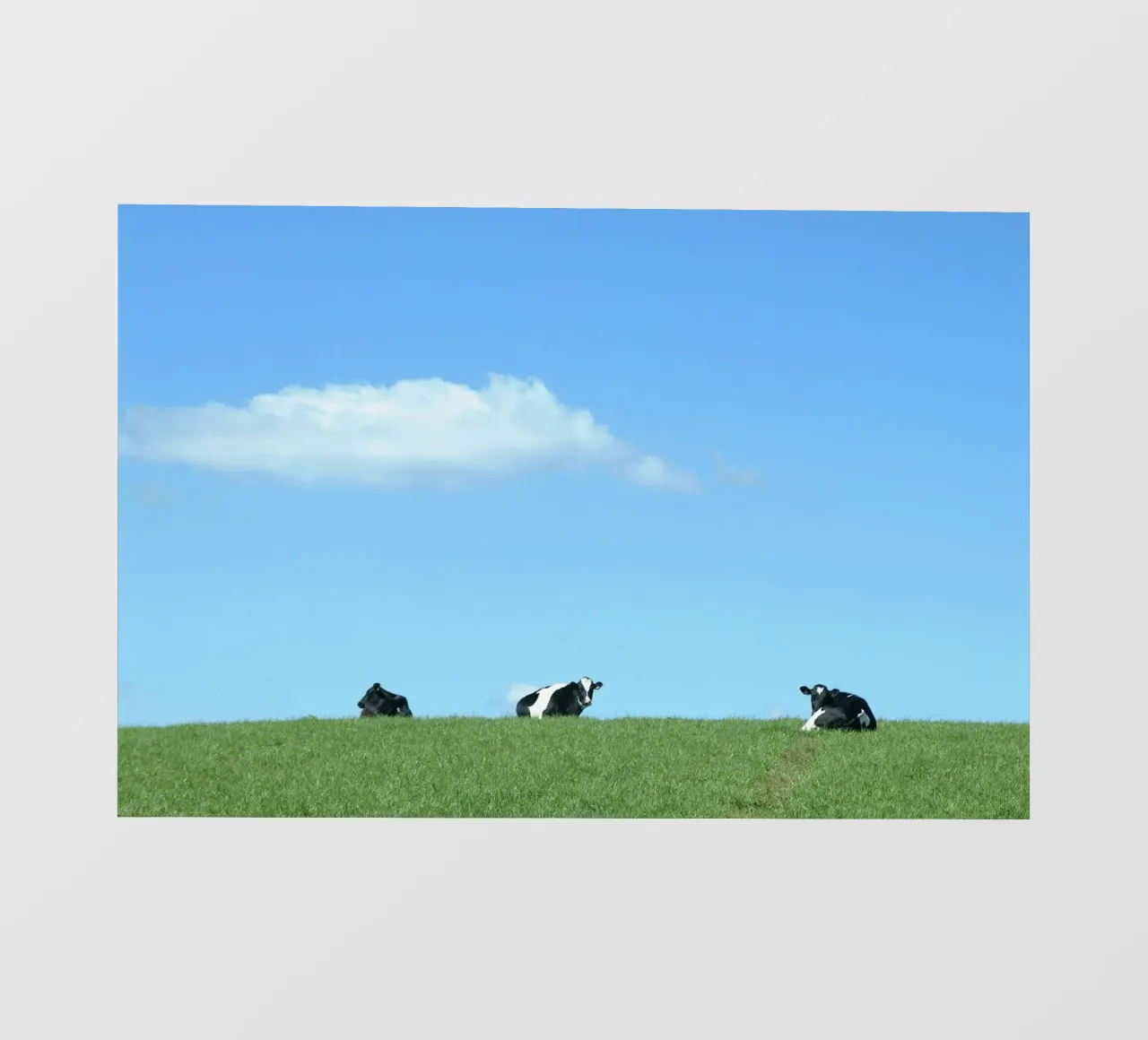 animals hillside telo in pvc da cofa home