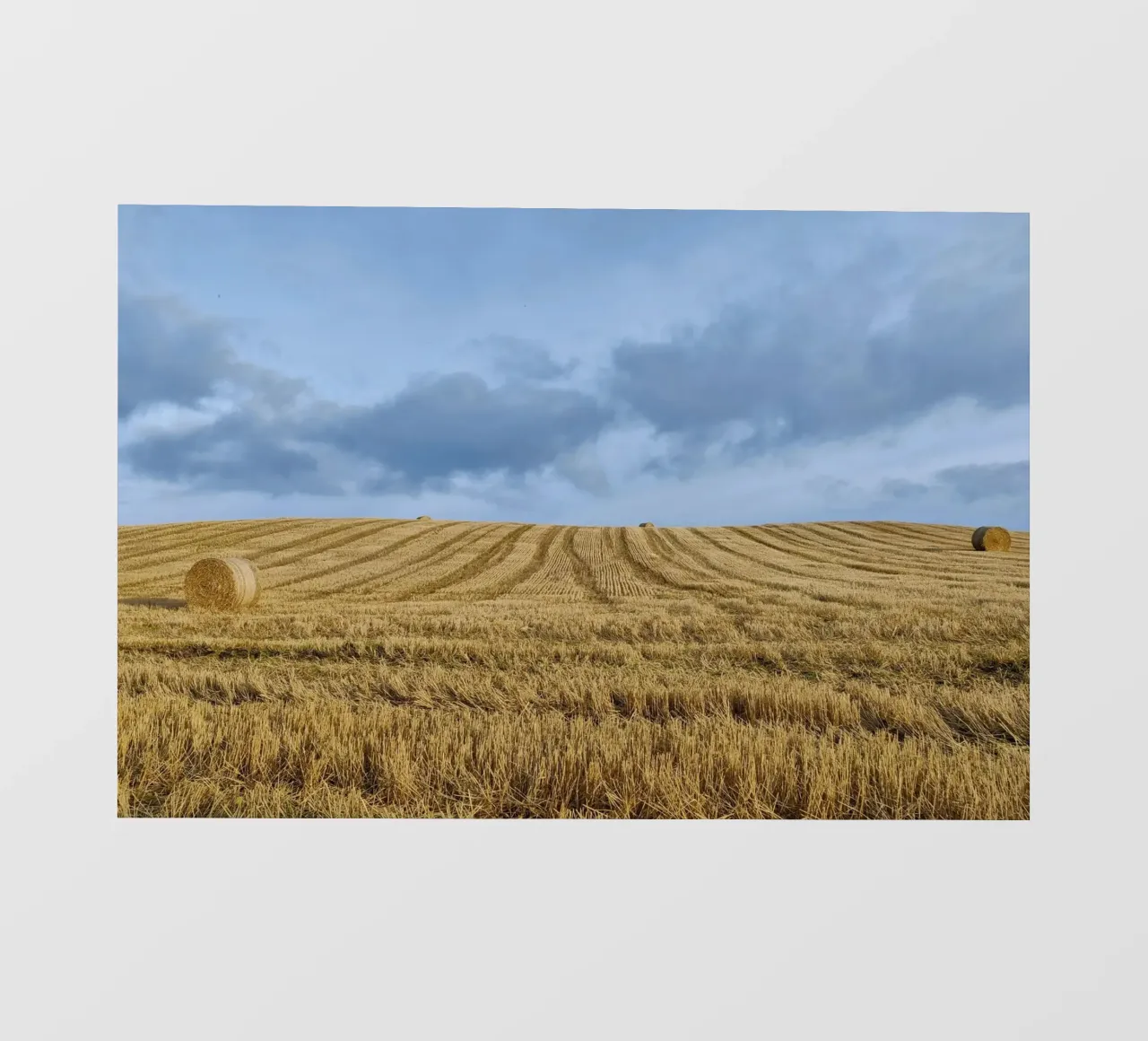hay bales cloudy telo in pvc da animal story home