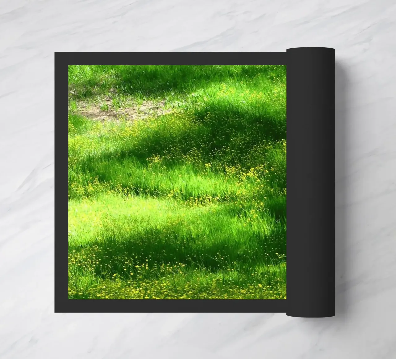 wildflowers spring zerbino da animal story home