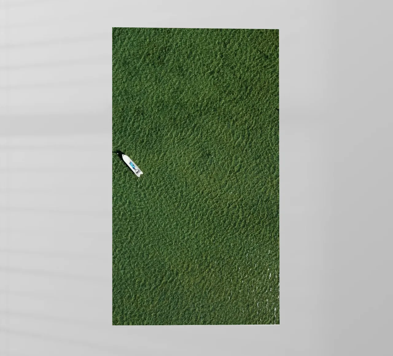 boat aerial view pellicola backlit da animal story home