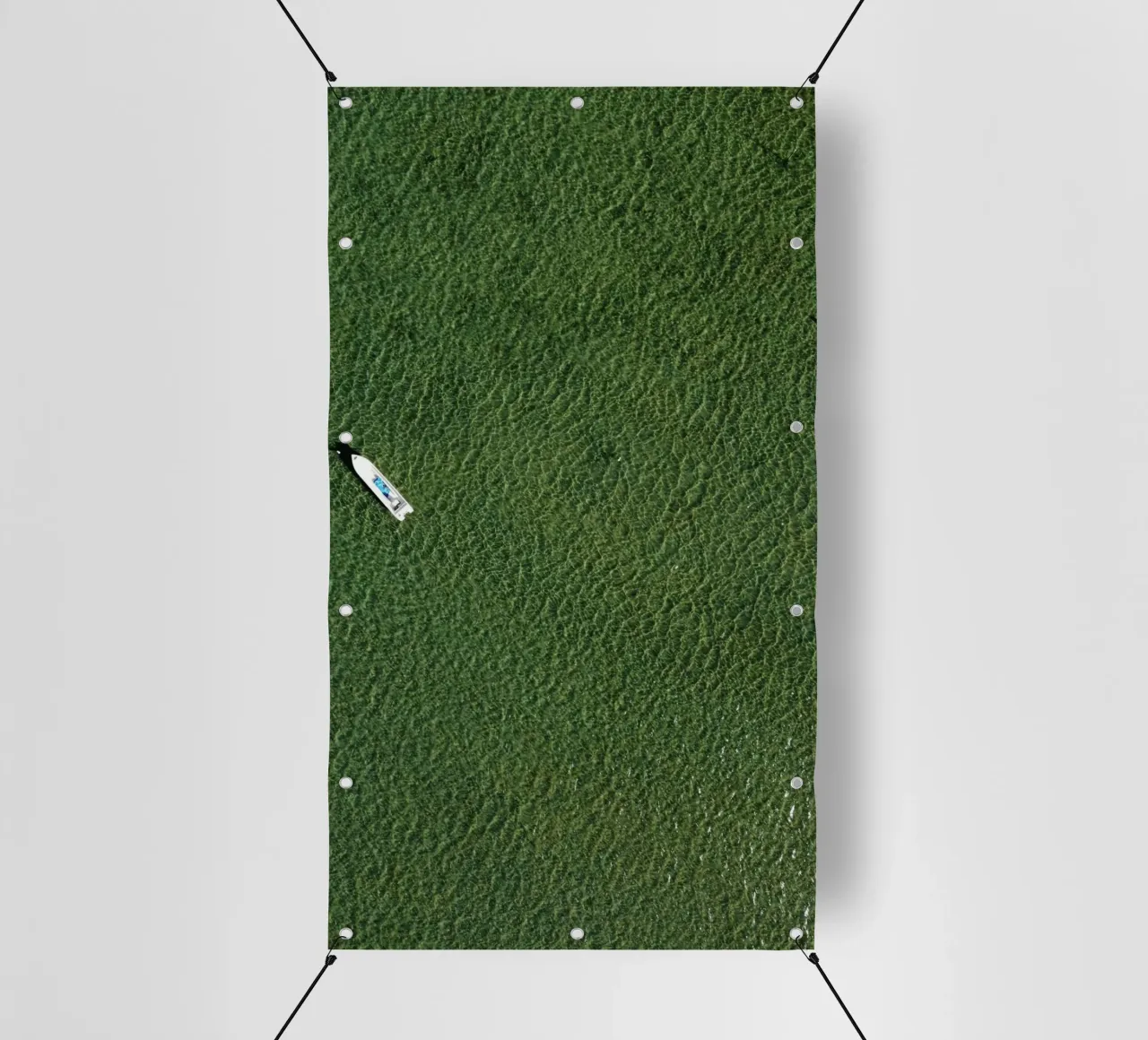 boat aerial view telo in pvc da animal story home