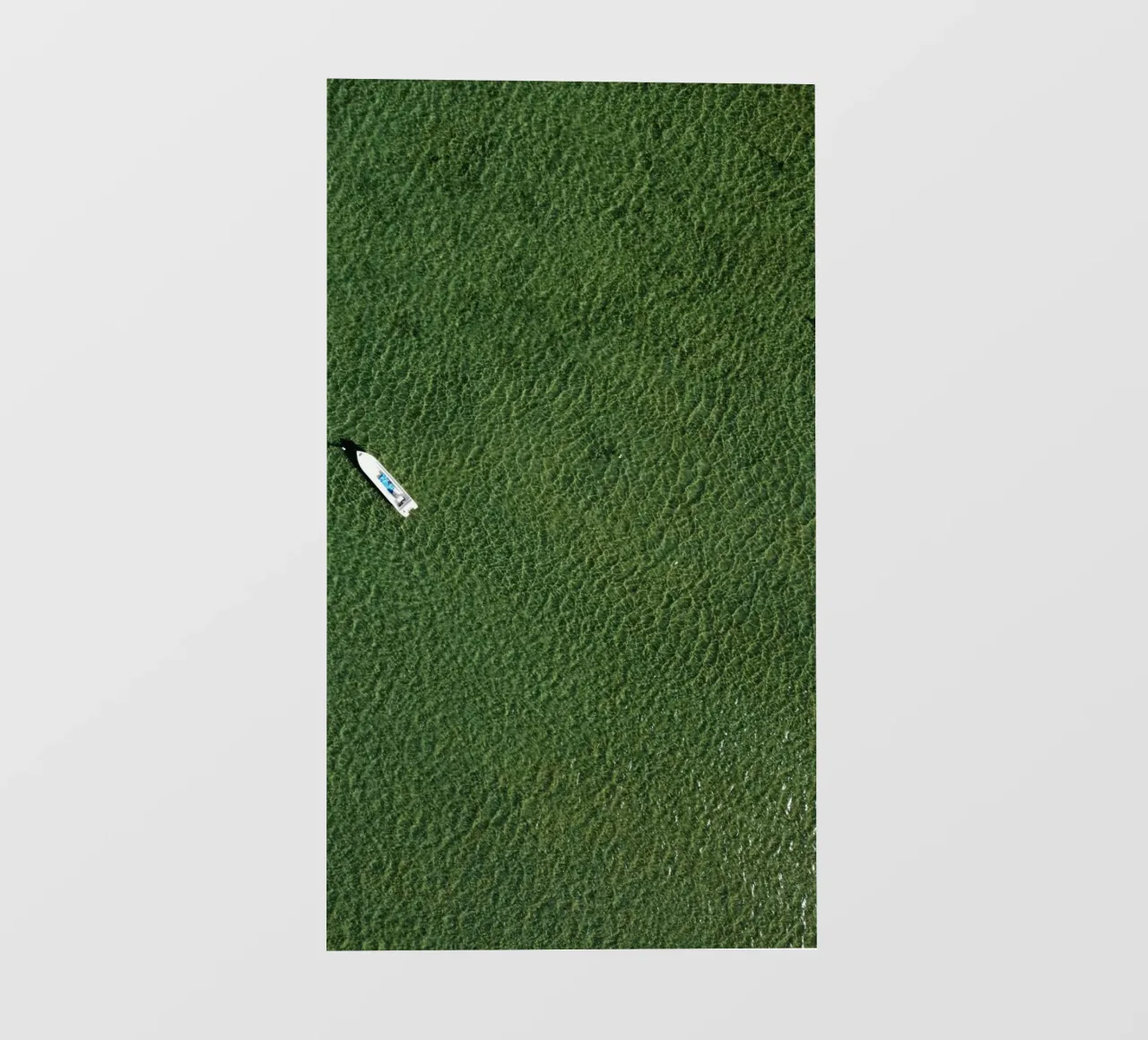 boat aerial view telo in pvc da animal story home