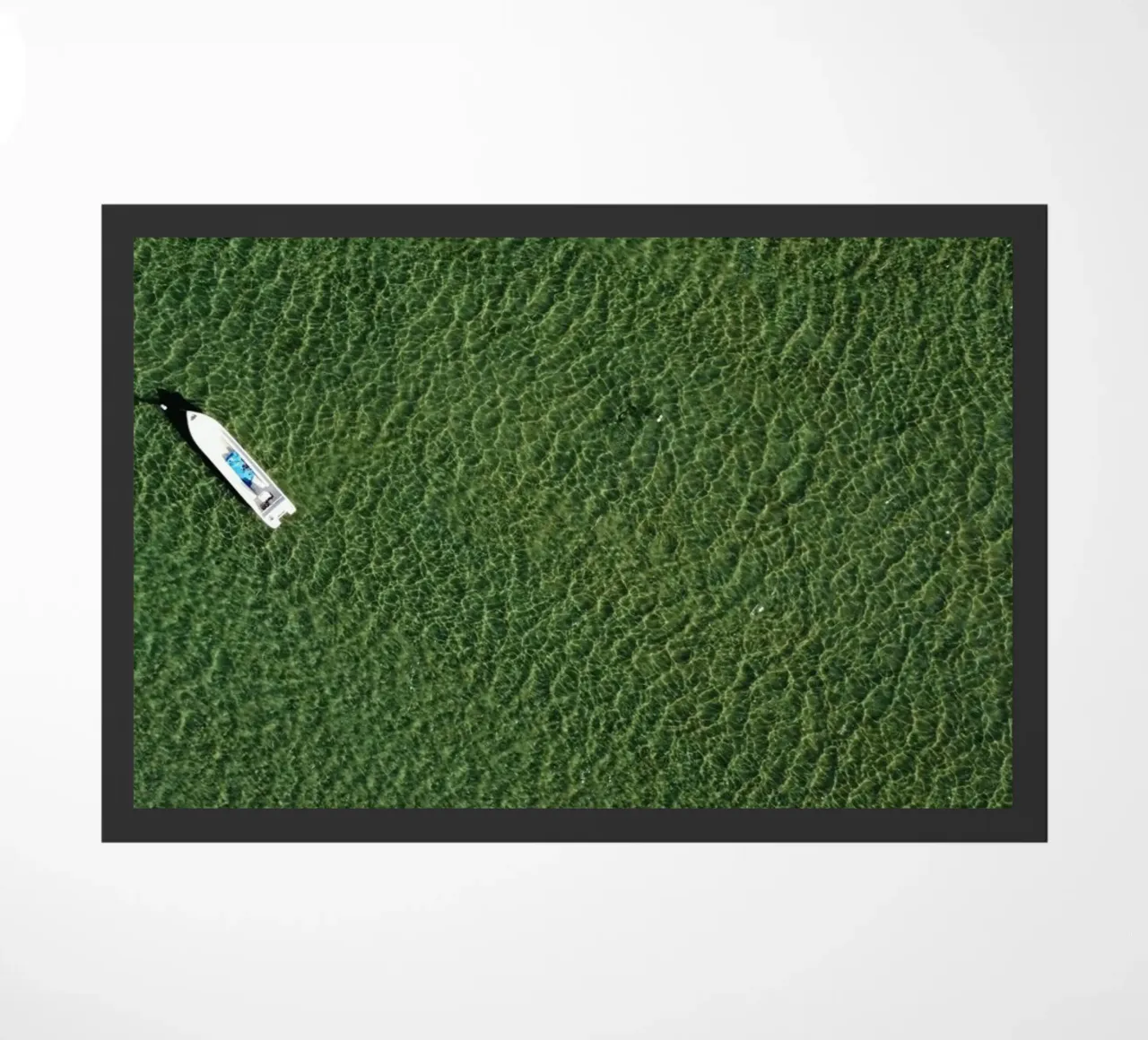 boat aerial view zerbino da animal story home