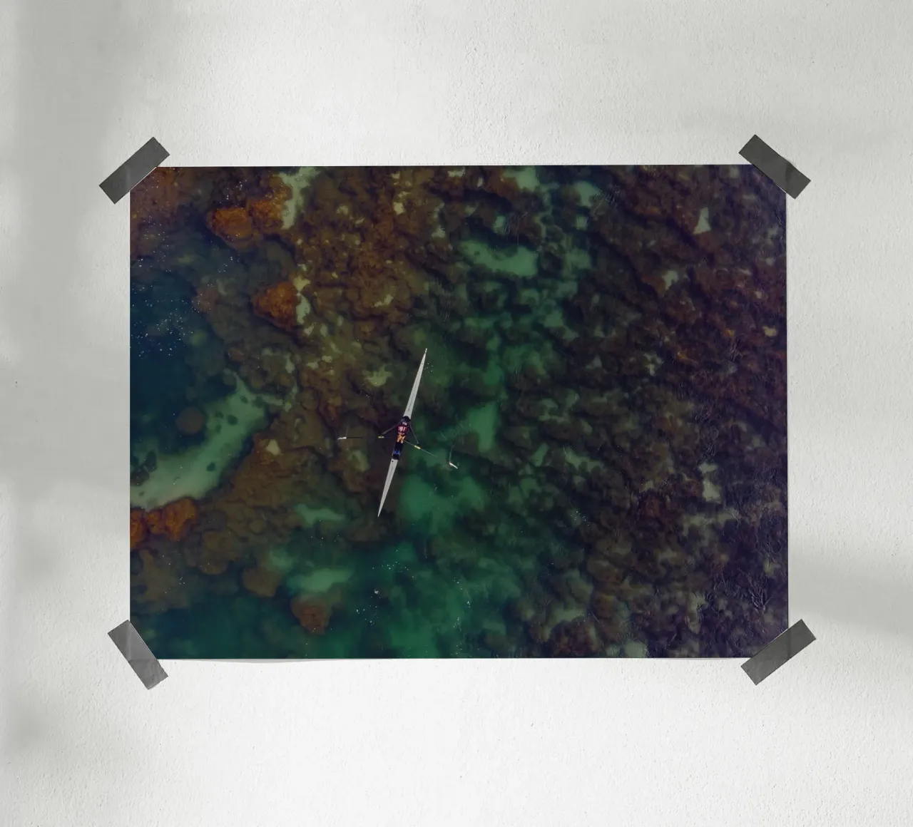 single scull water carta hahnemühle da animal story home