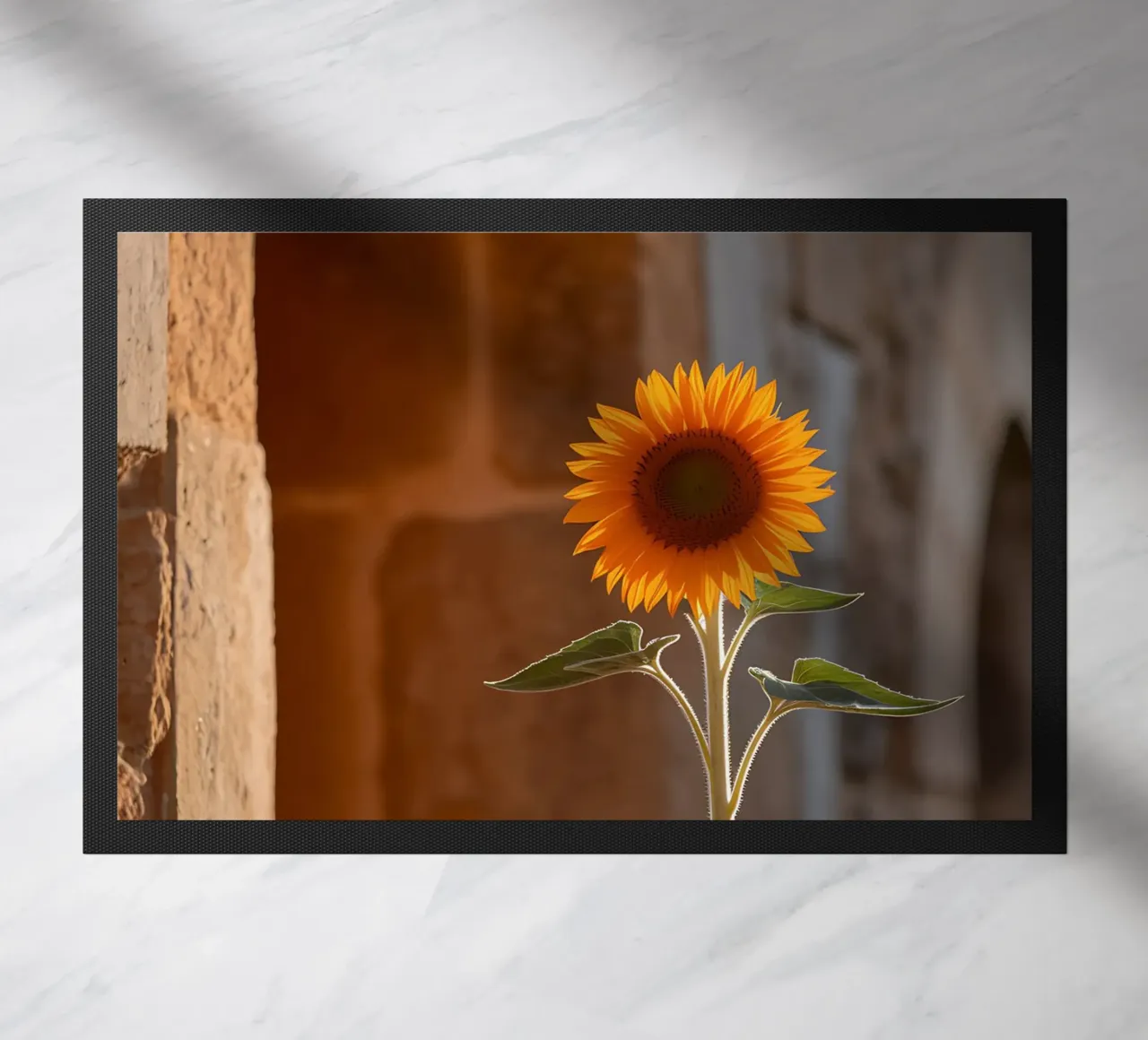 Girasole vibrante su una parete di pietra calda zerbino da Casa Limon