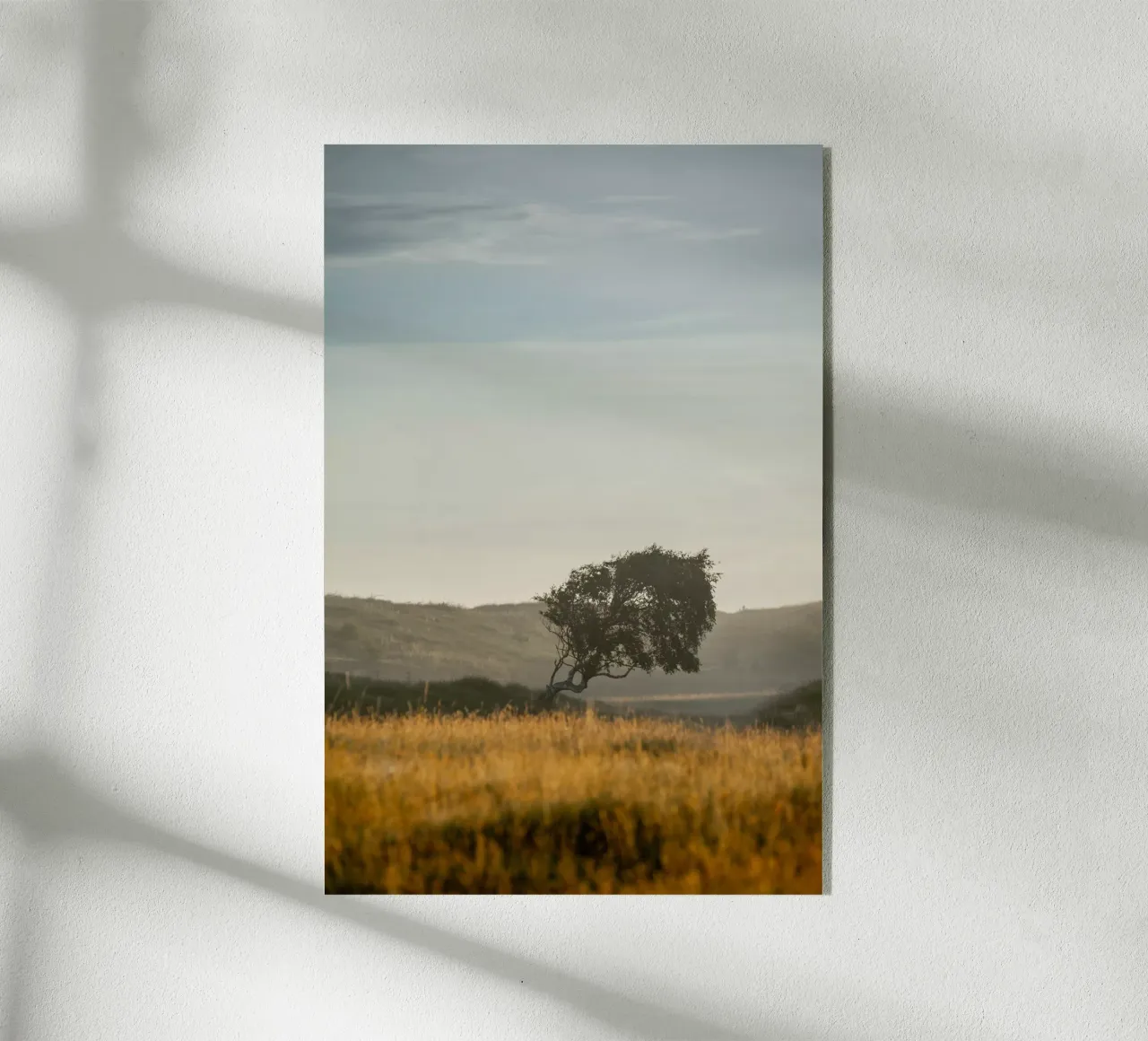 At The Coast 5 plexiglass da Mareike Böhmer Photography